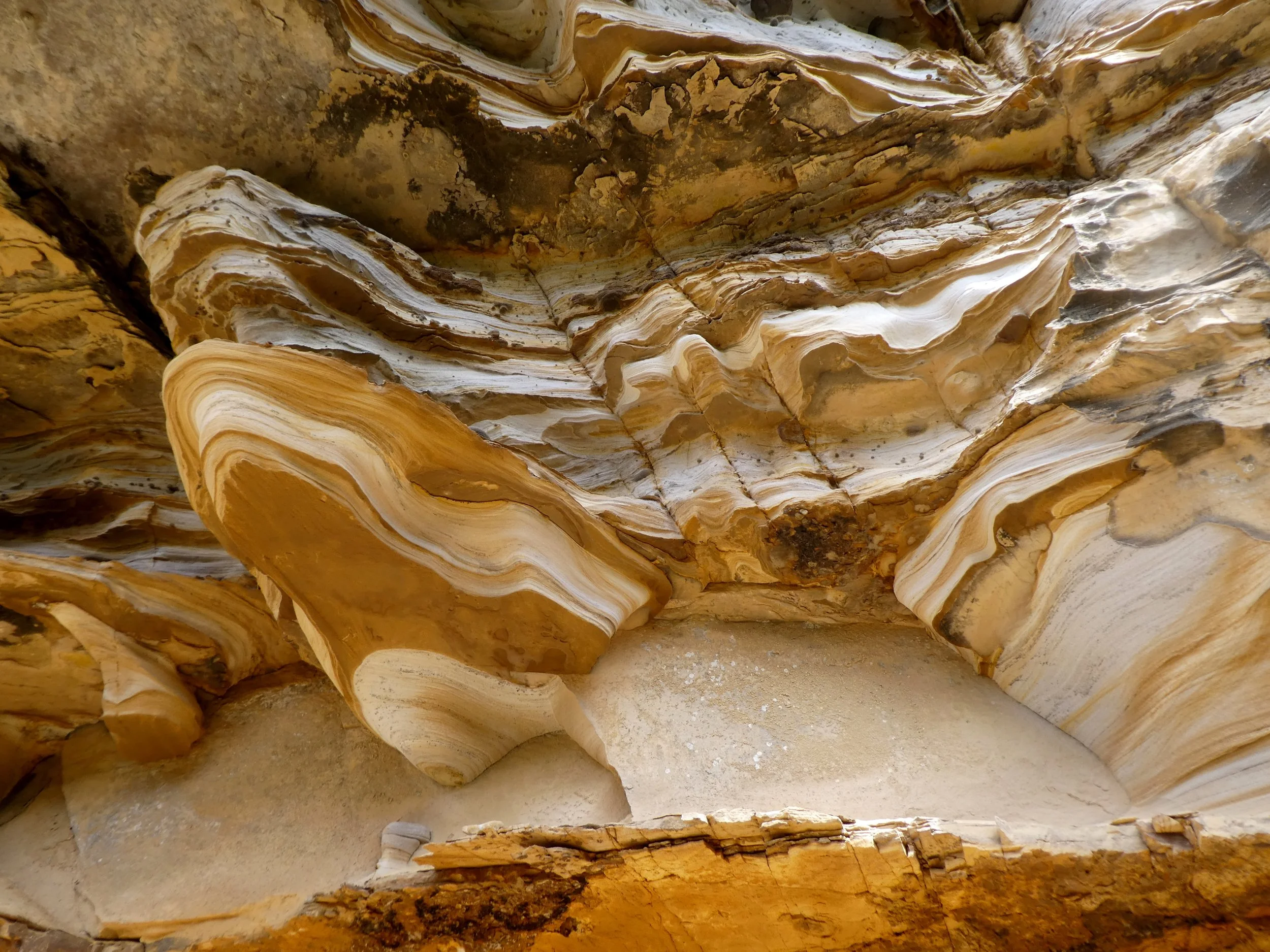 Bluff River Gorge