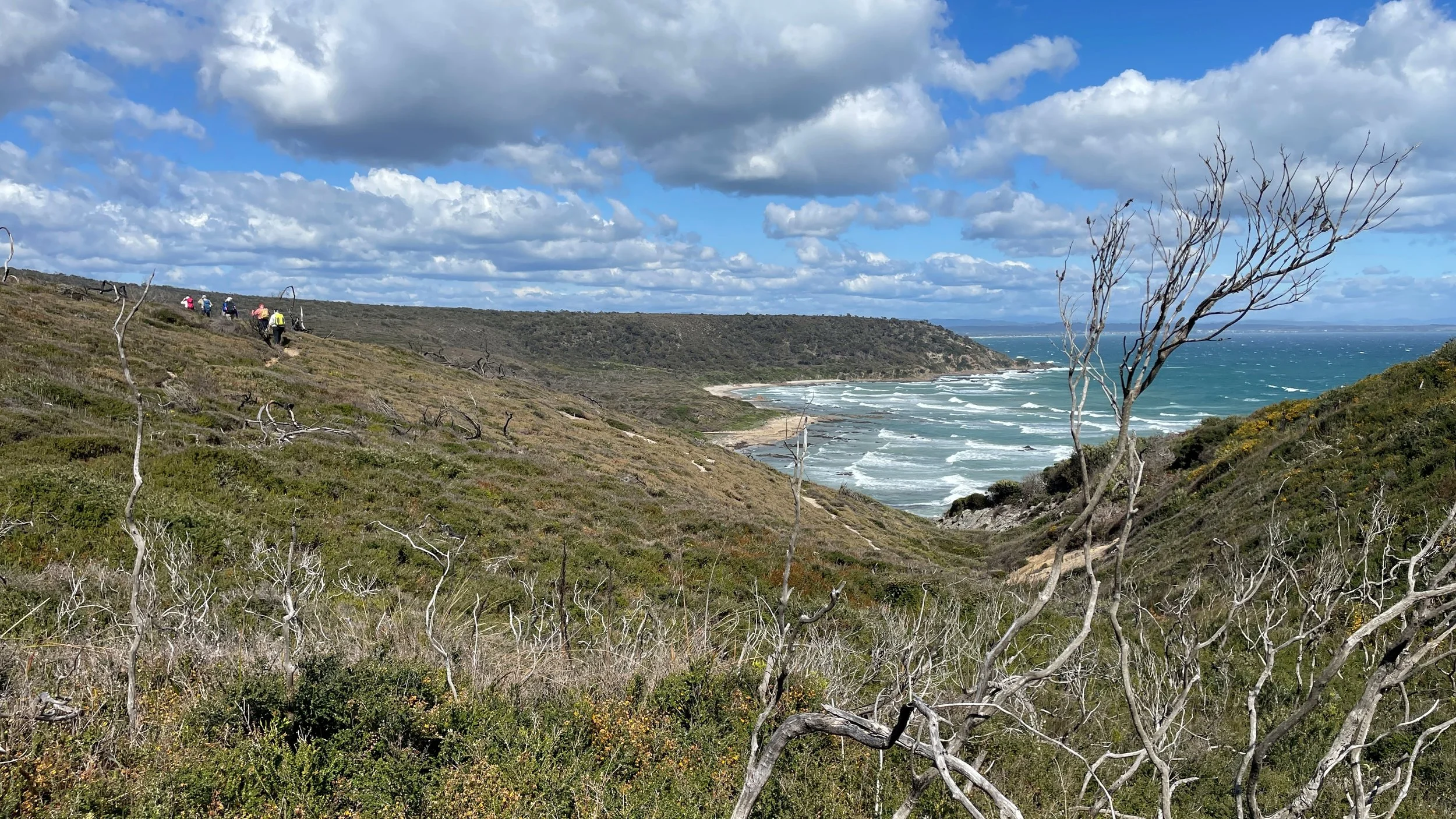 Looking down at Copper Cove, Badger Head