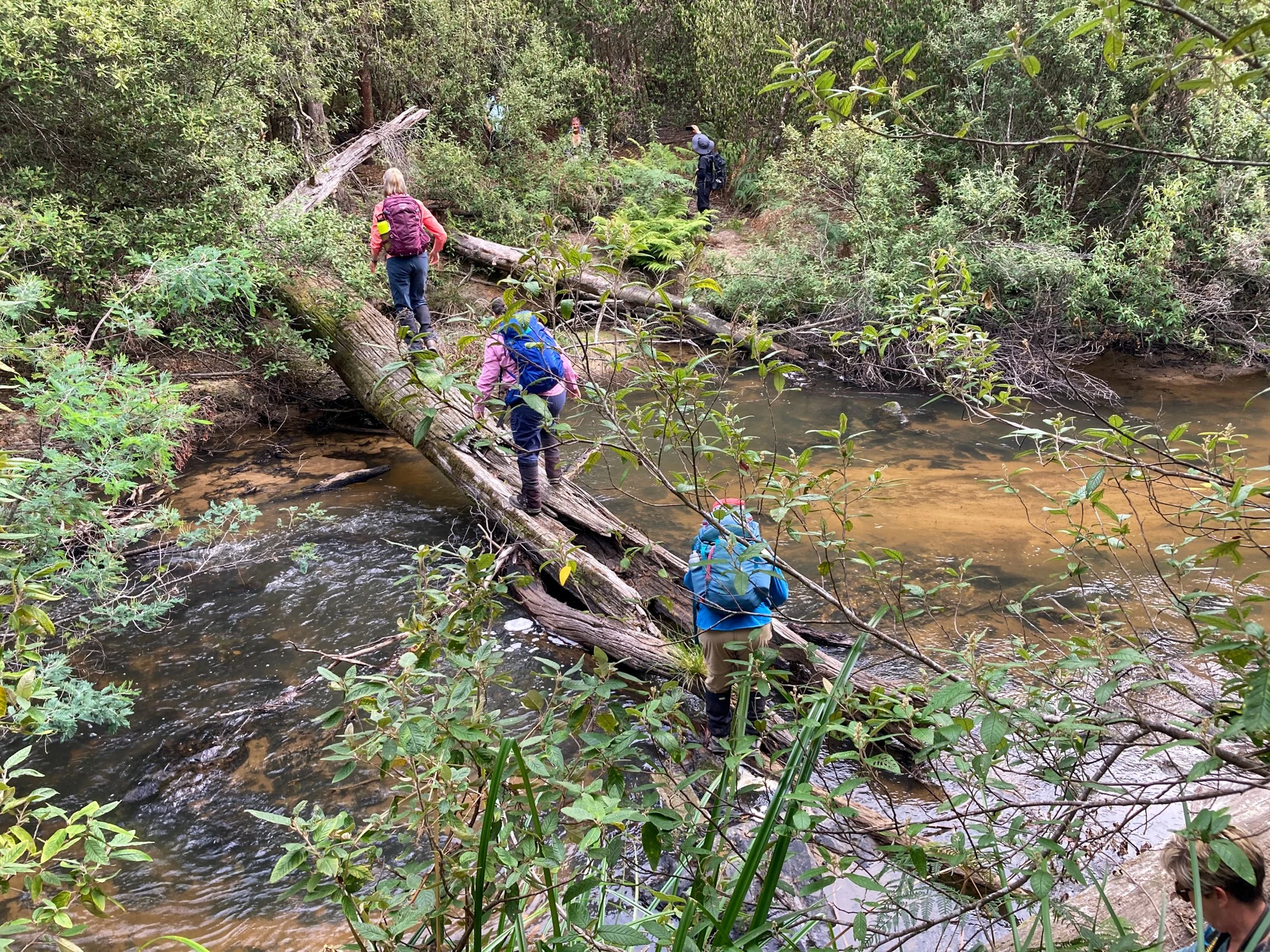 Brid River Reserve