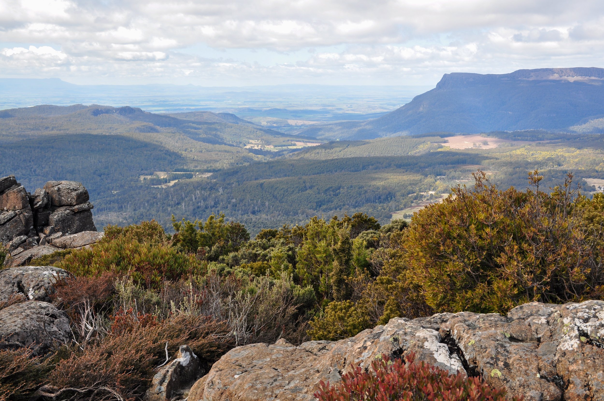 View from Quamby Bluff