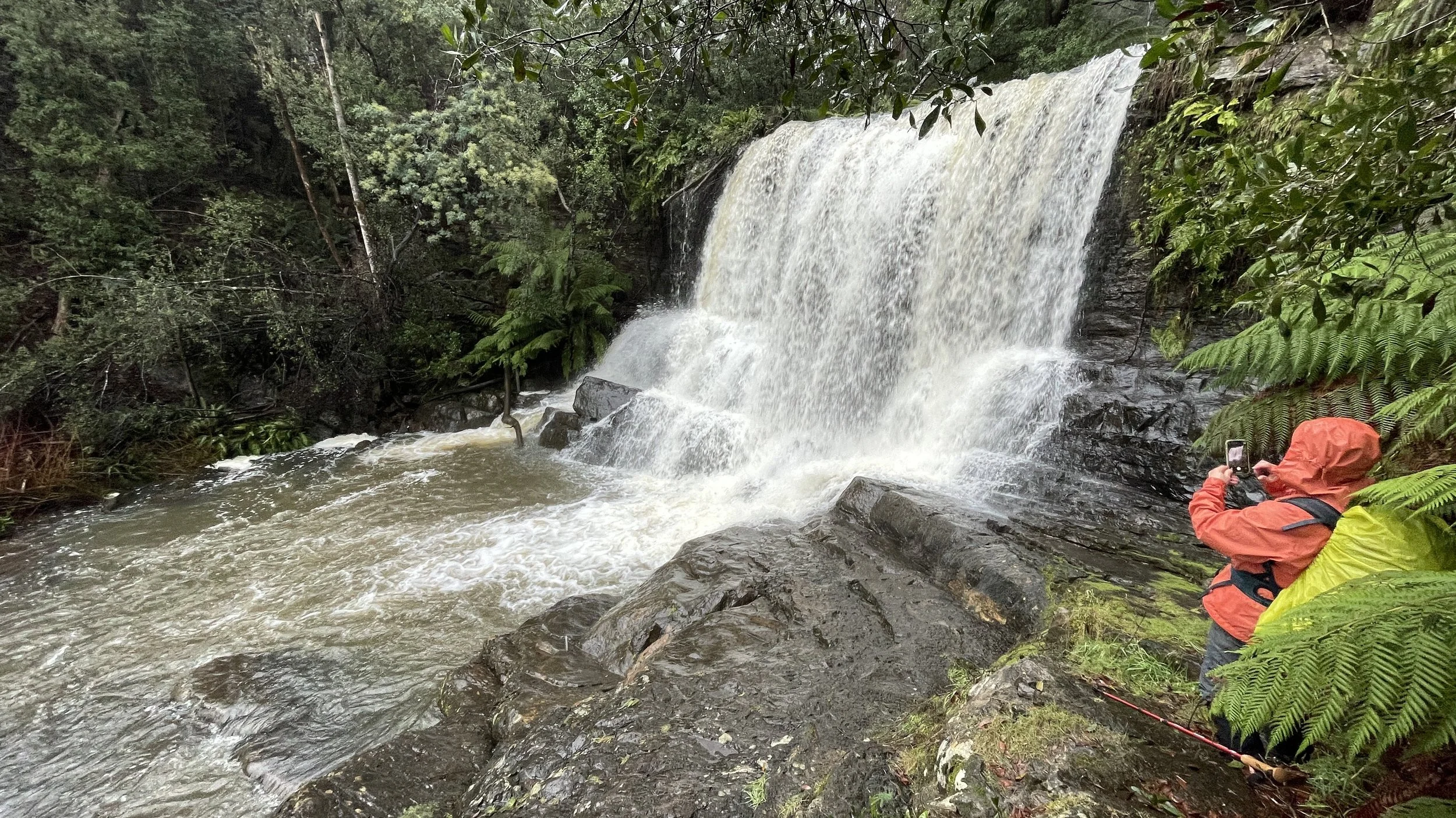 Forth Falls