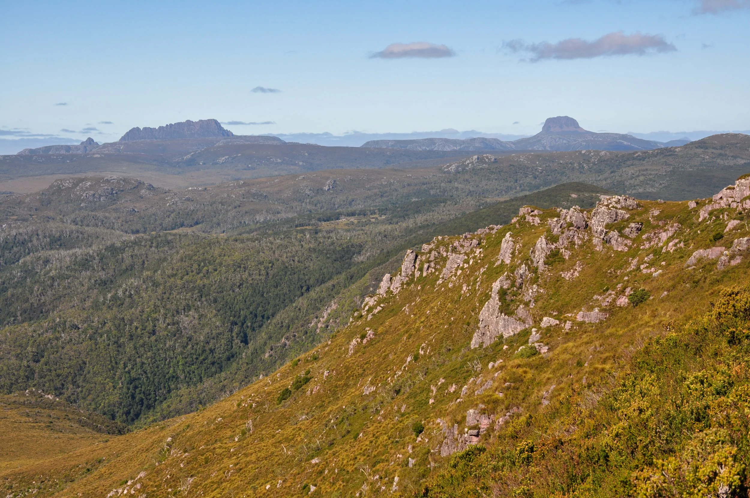 View from Mount Beecroft
