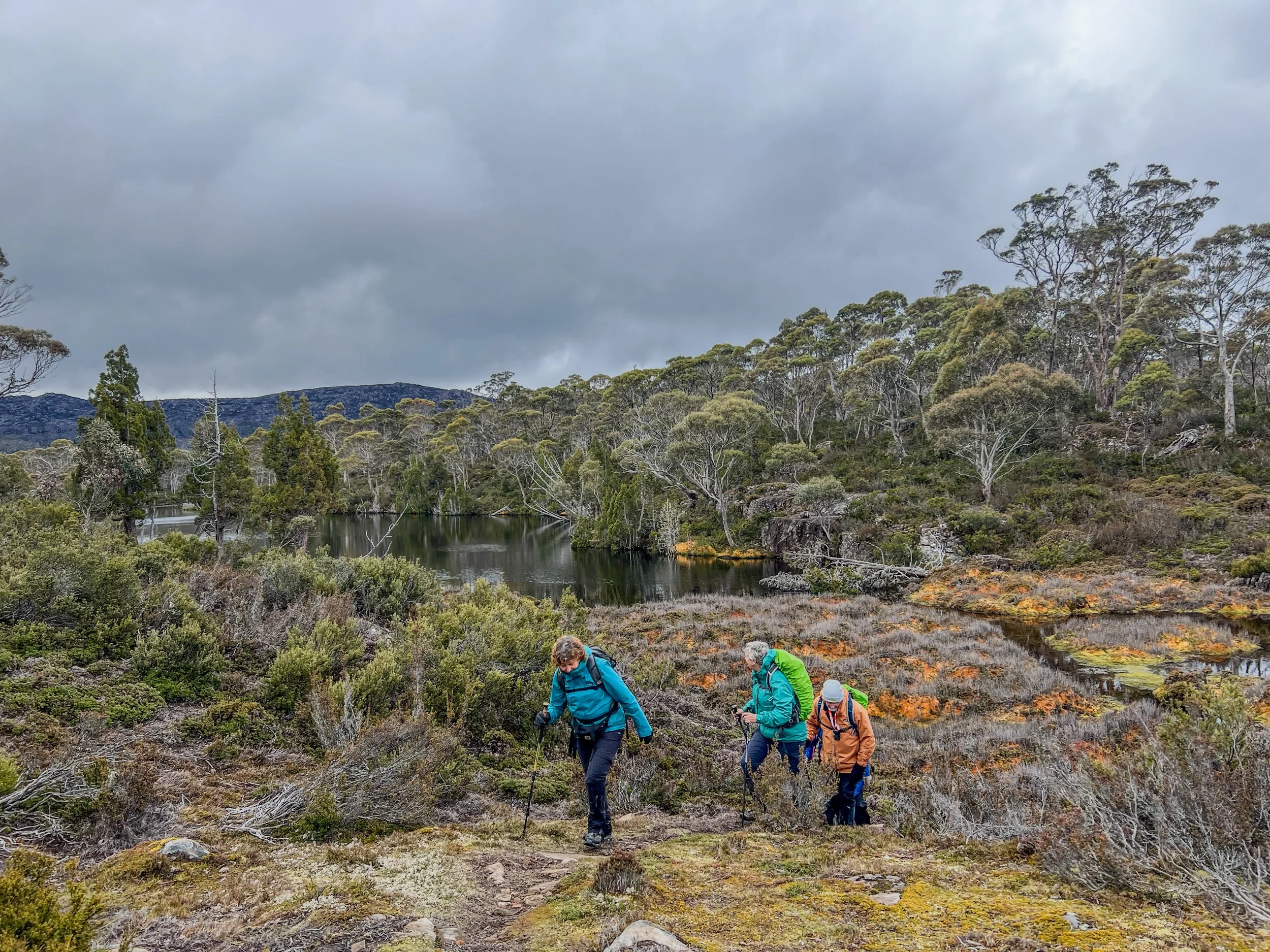 Tiger Lake, Walls of Jerusalem National Park