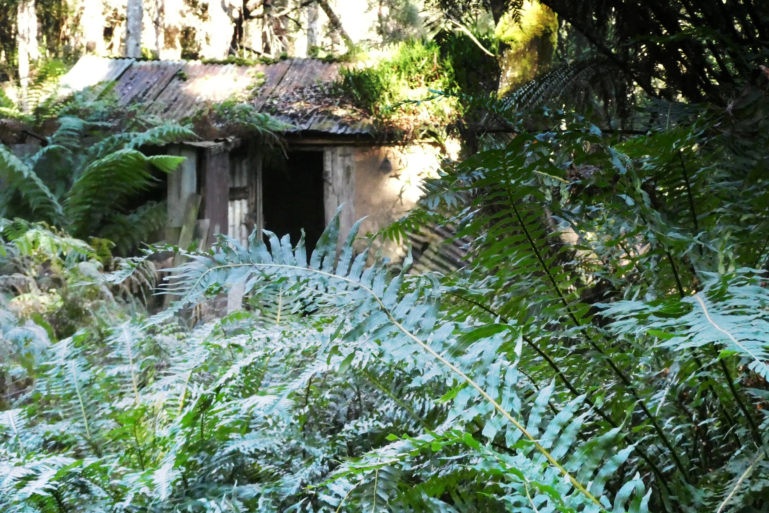 Yaxley's Hut