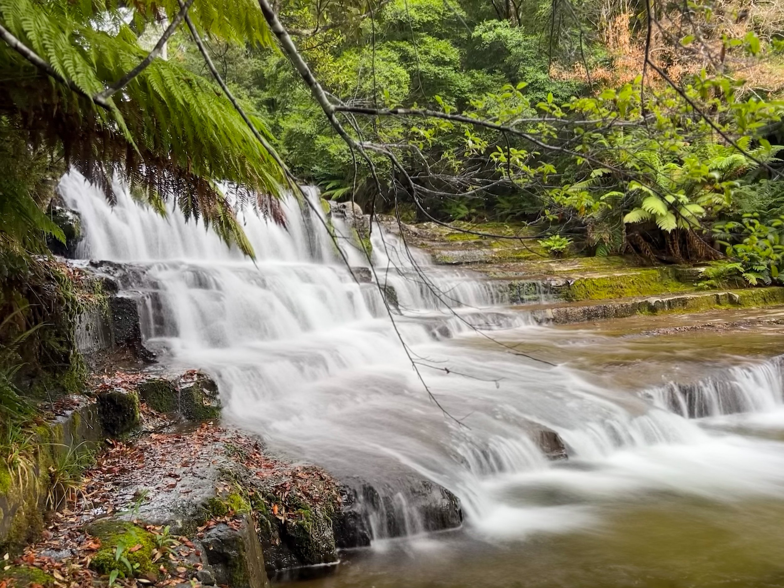 Liffey Falls