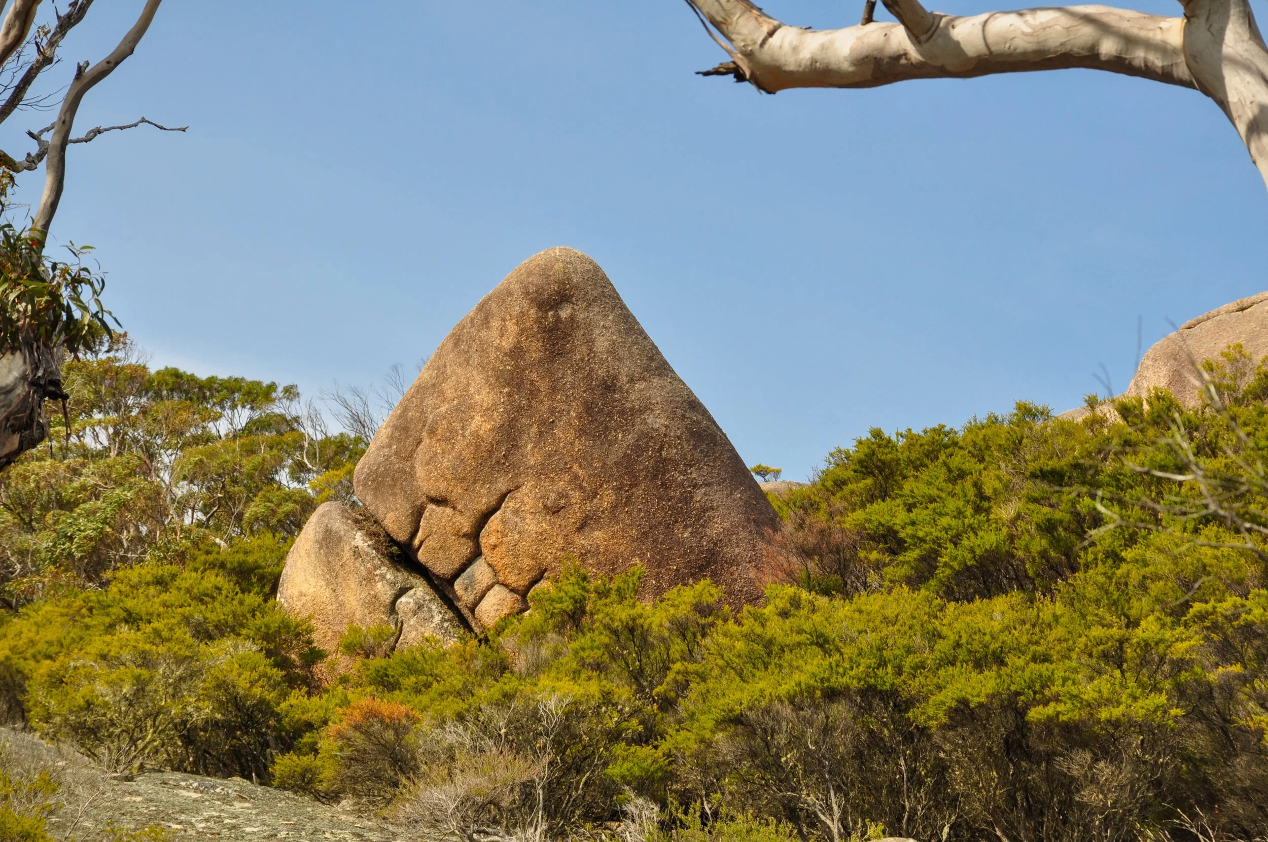 Whale Rock