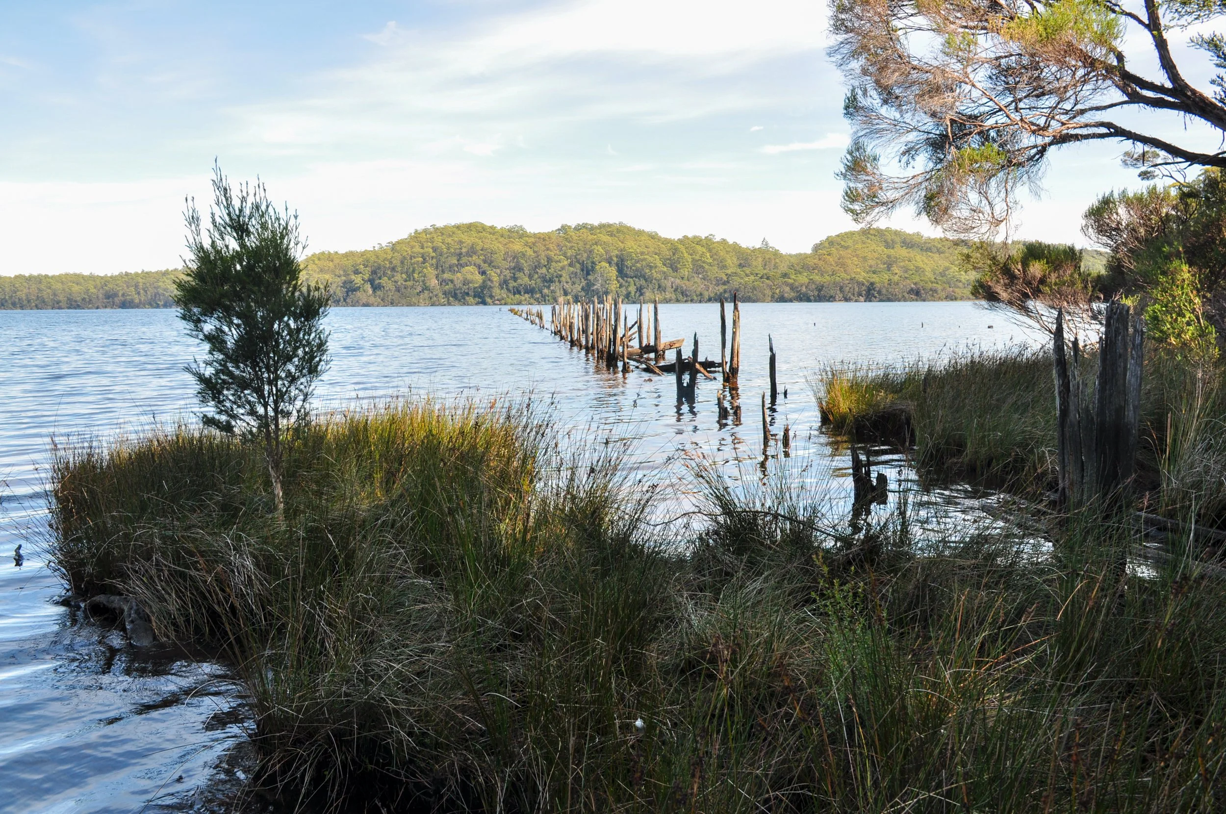 Kelly Basin, East PIllinger
