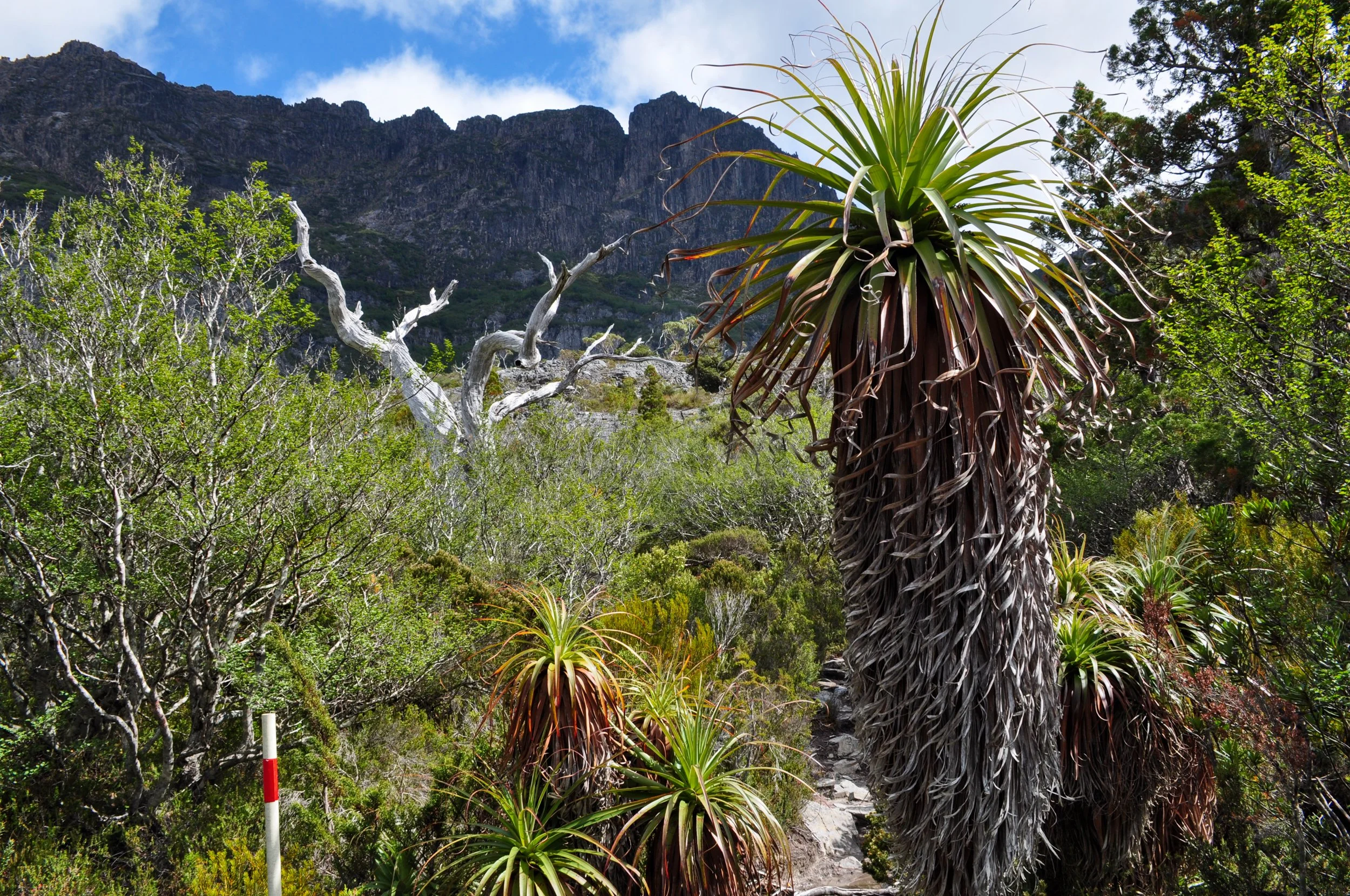 Cradle Mountain