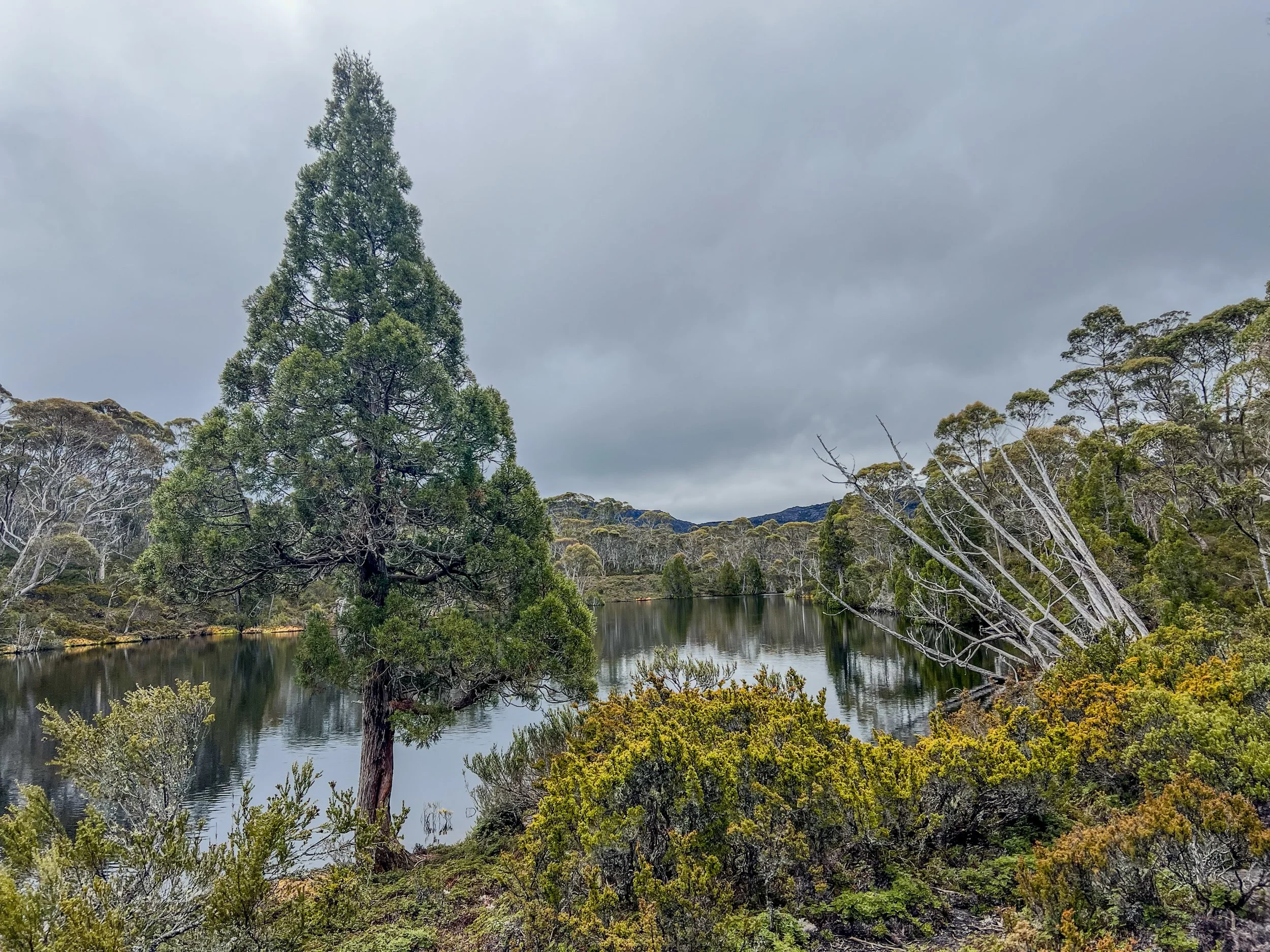 Tiger Lake, Walls of Jerusalem National Park