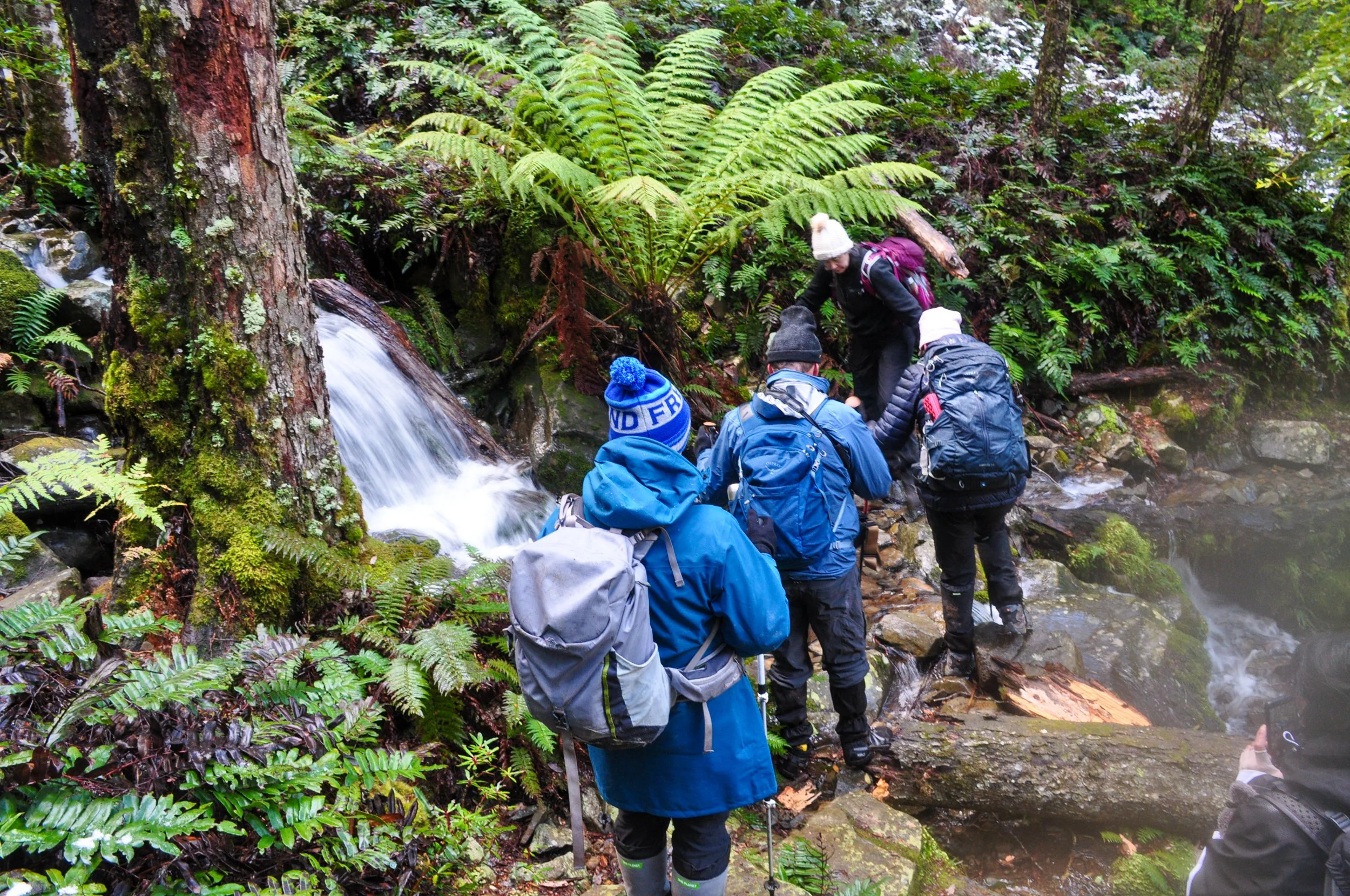 Chasm Falls