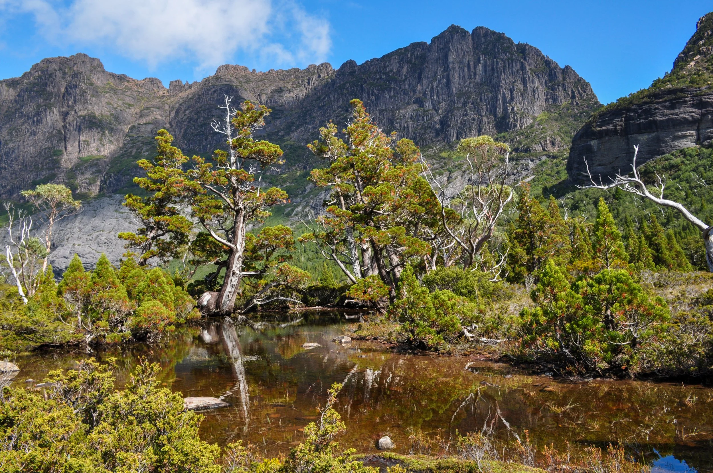 

Artist Pool's, Cradle Mt Lake St Clair National Park