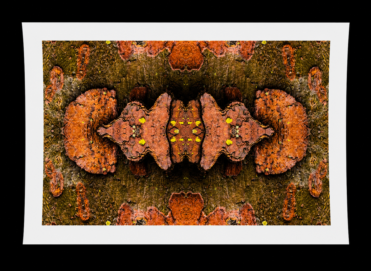 image1.png