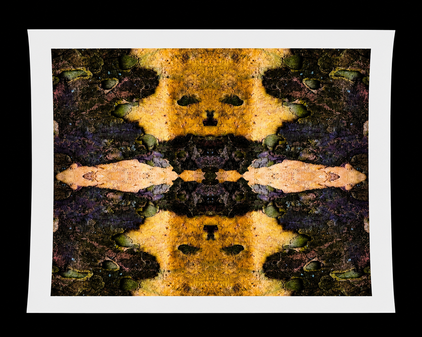 image0.png