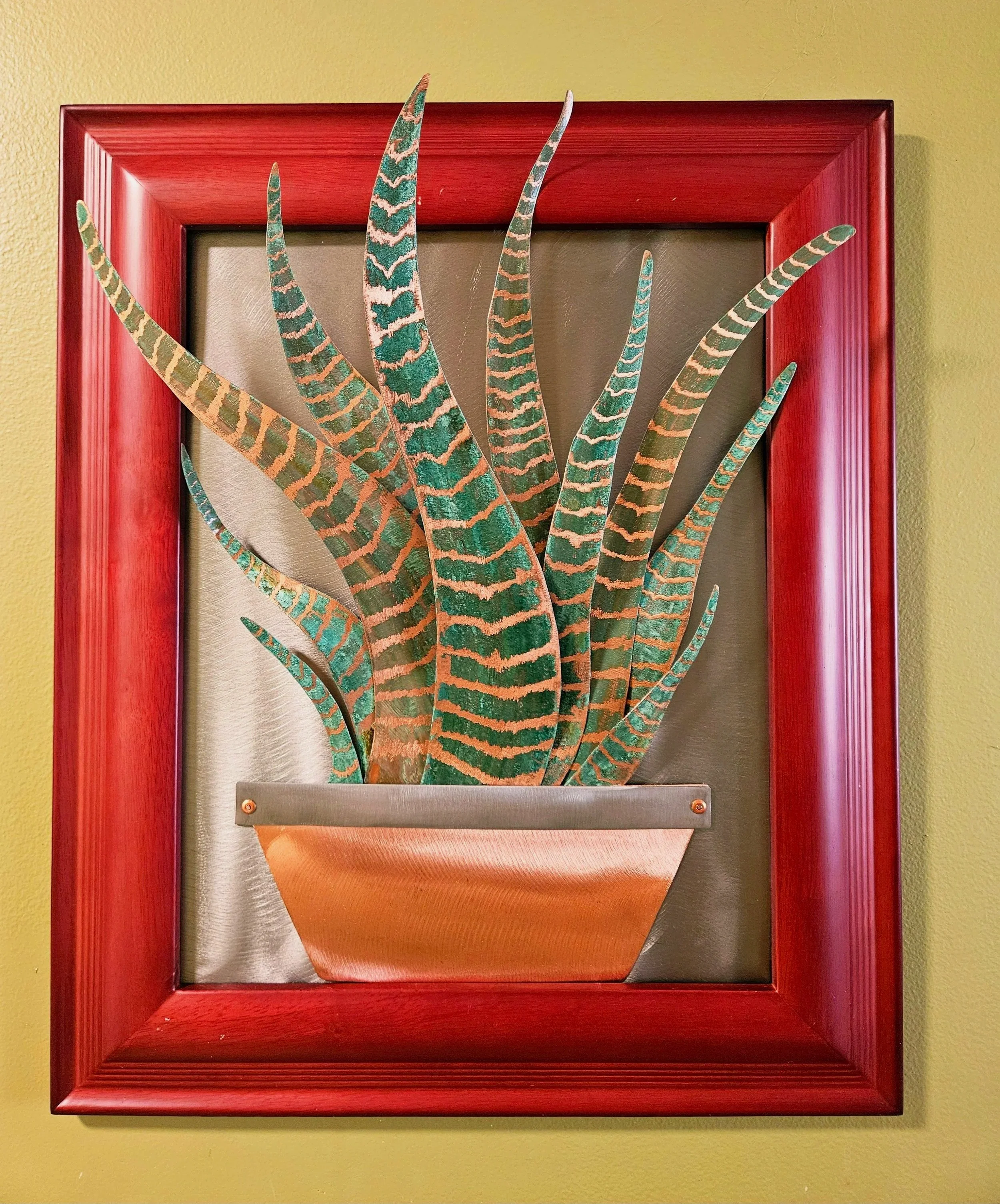 Sanseveria