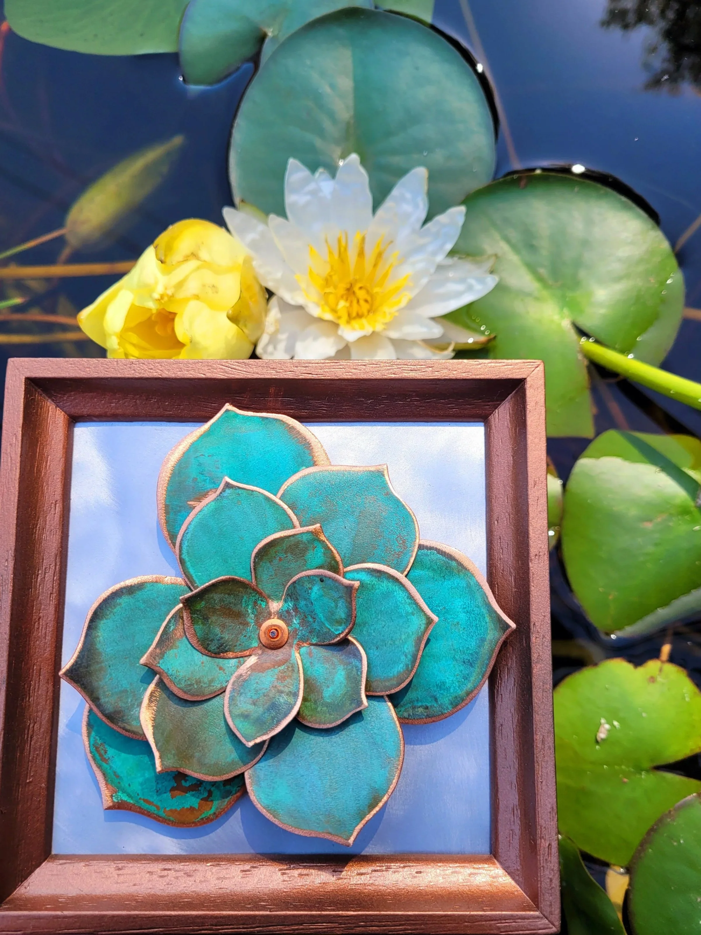 Succulent