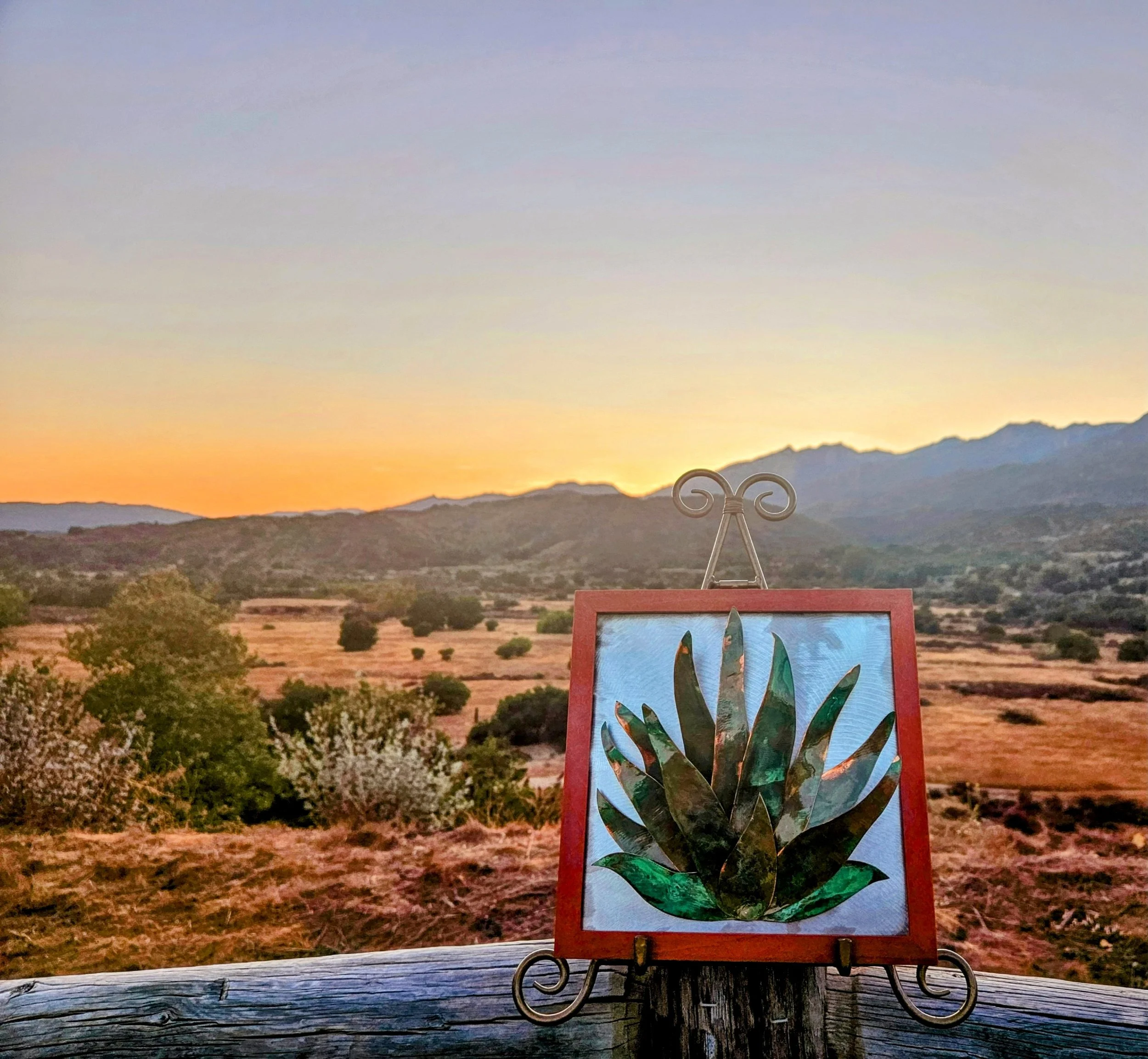 Agave 2
