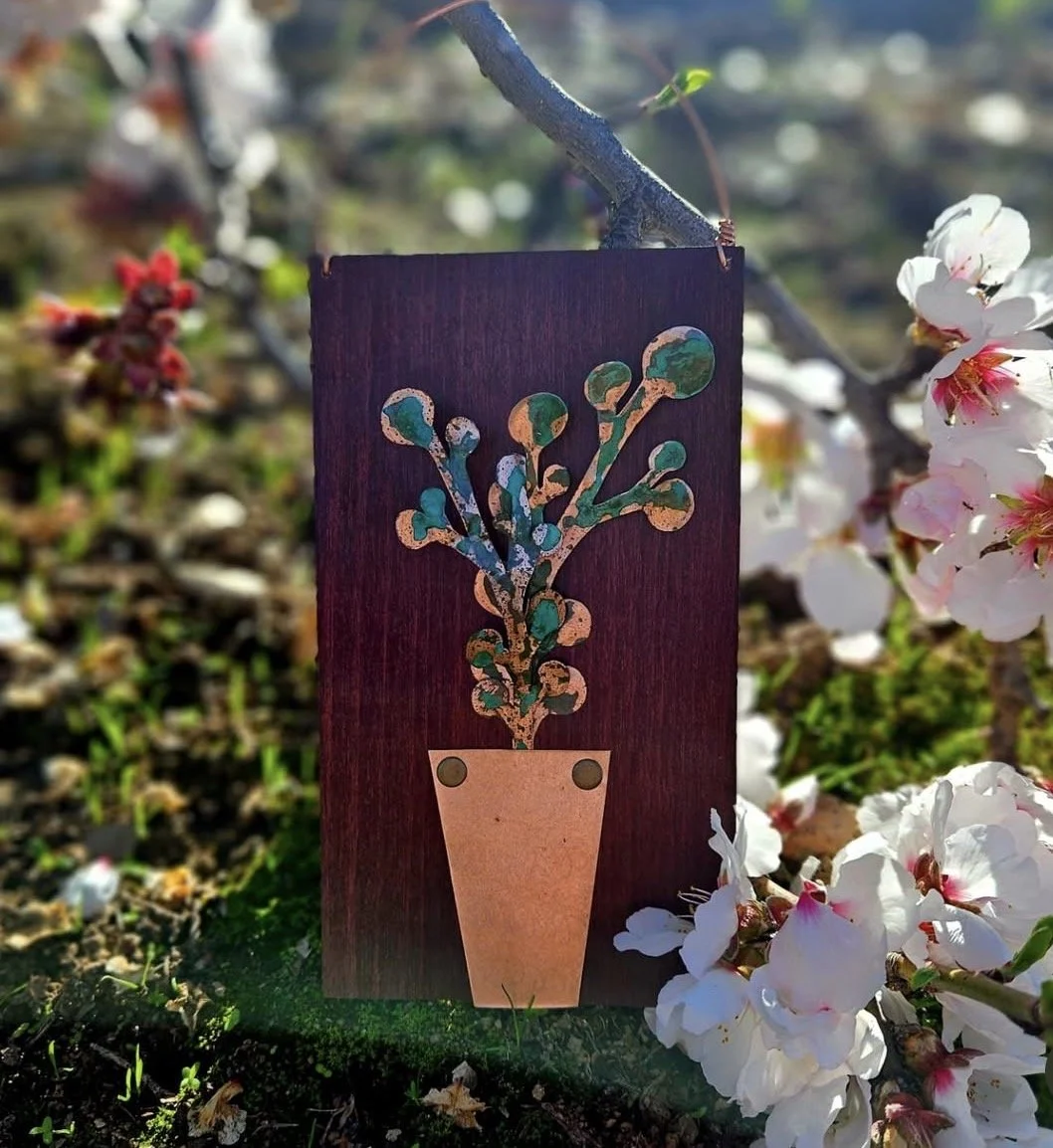 House Plant