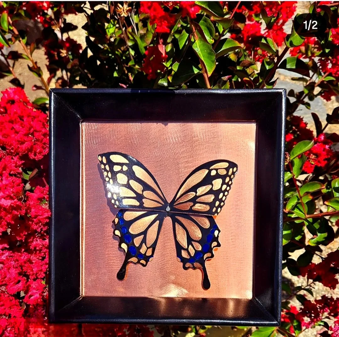 Papilio