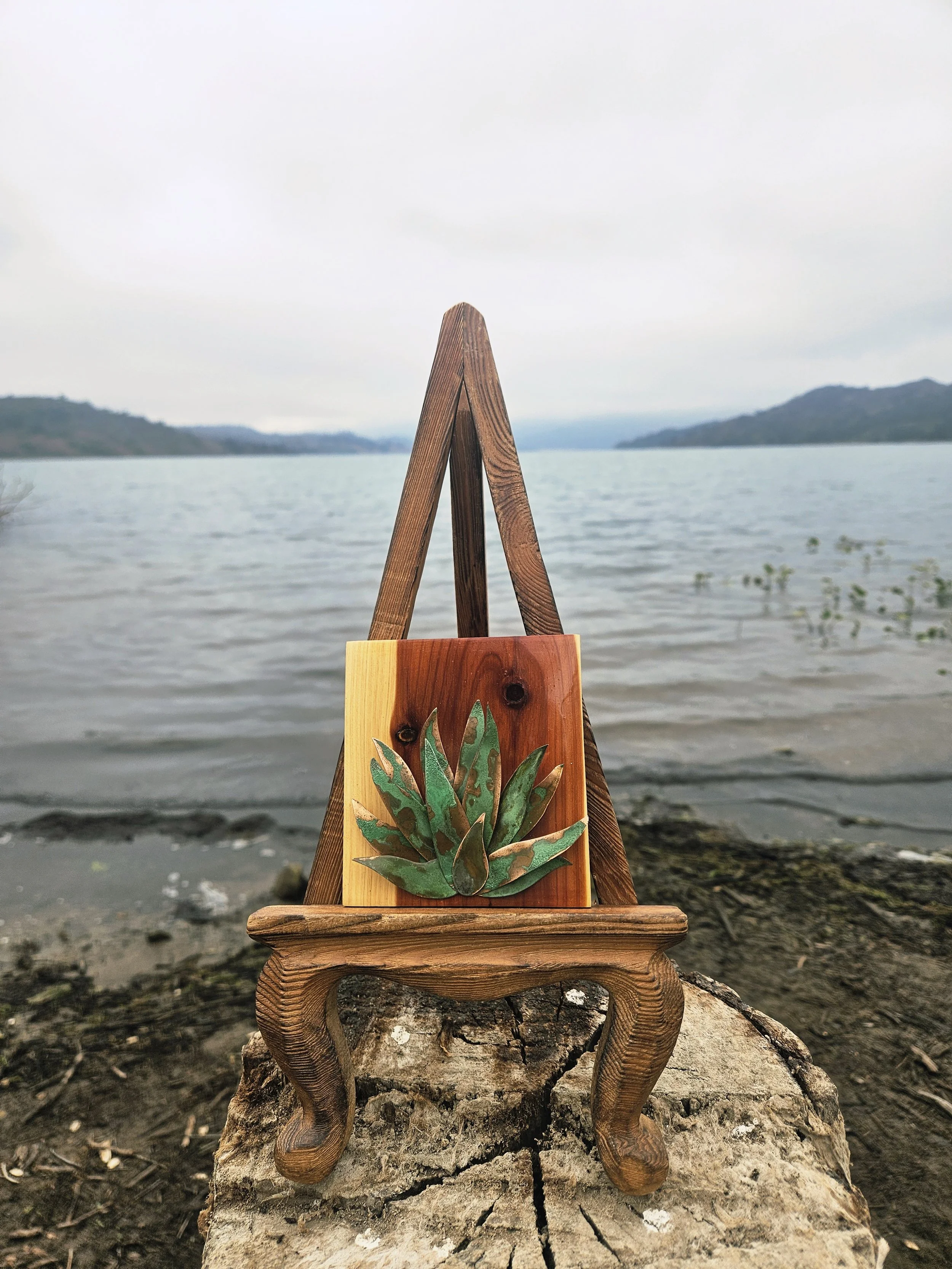 Mini Agave
