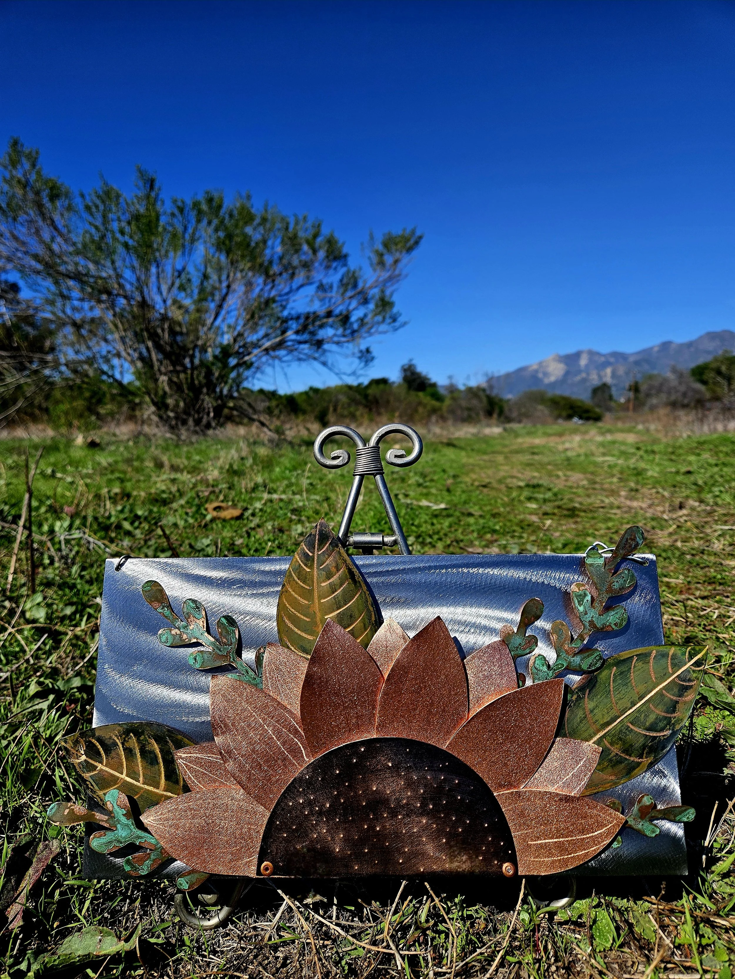 Wild Sunflower