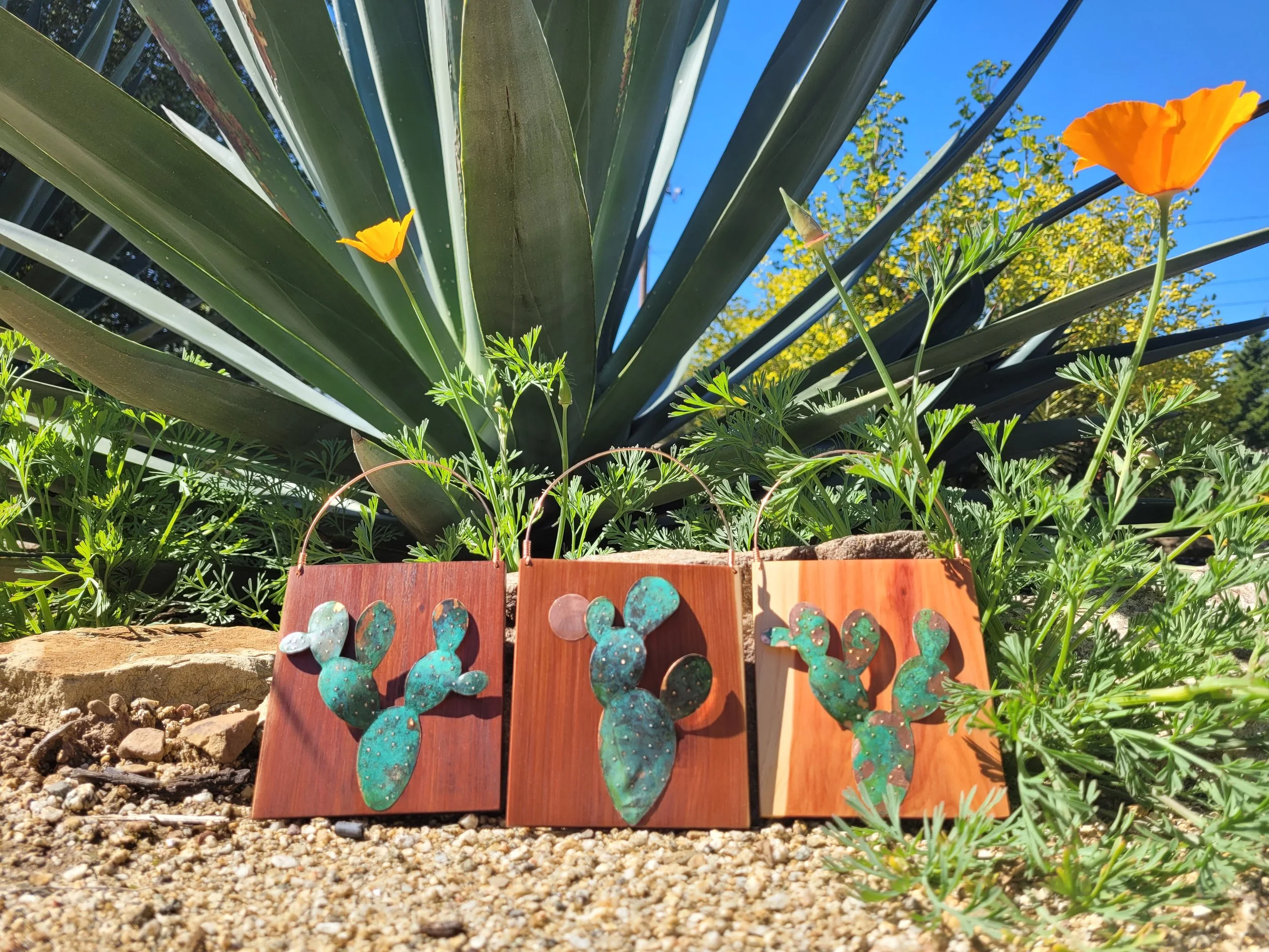 Succulent Minis