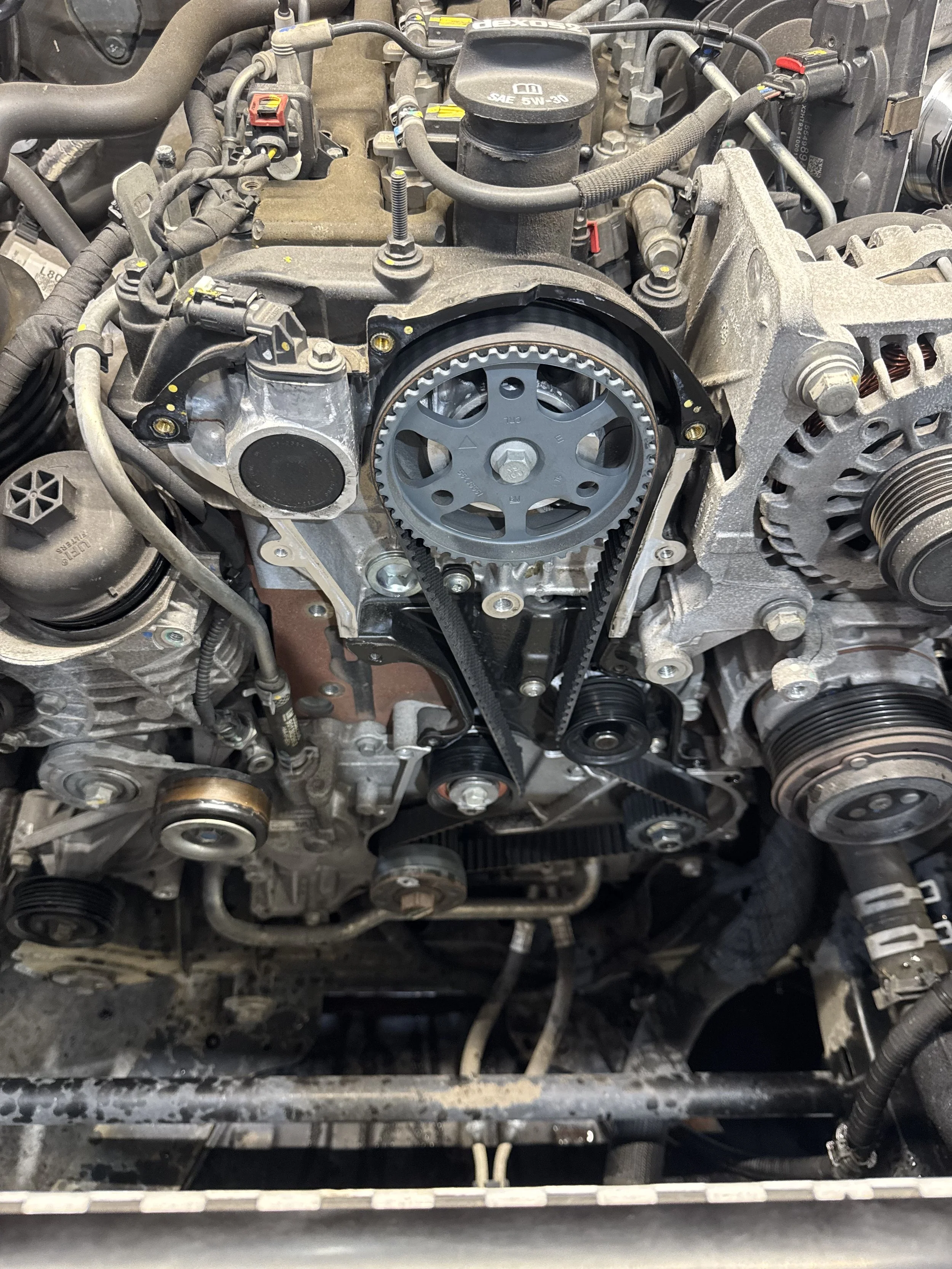 Holden Timing Belt