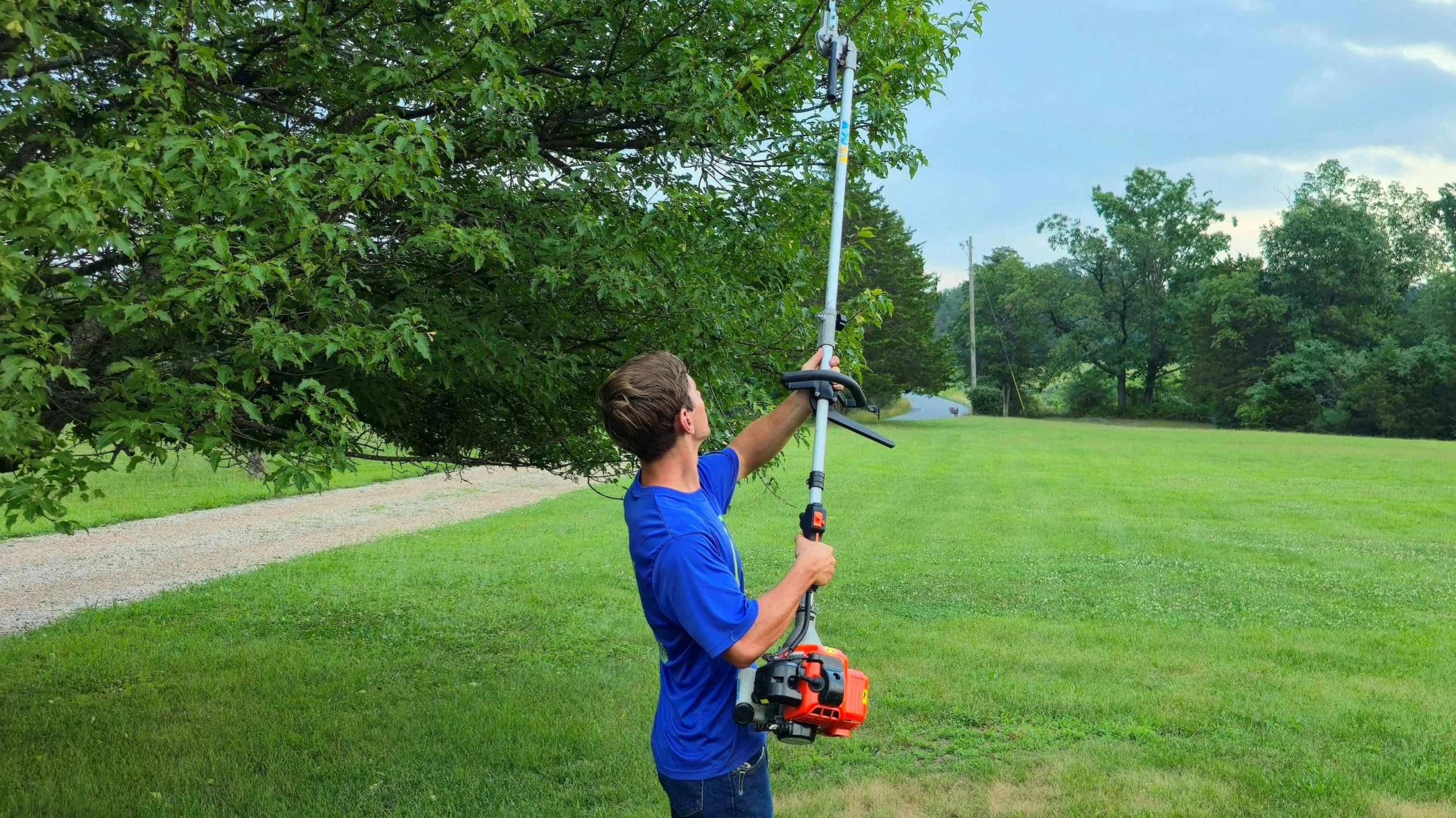 A man operating a tree-trimming pole saw on a tree in a yard.