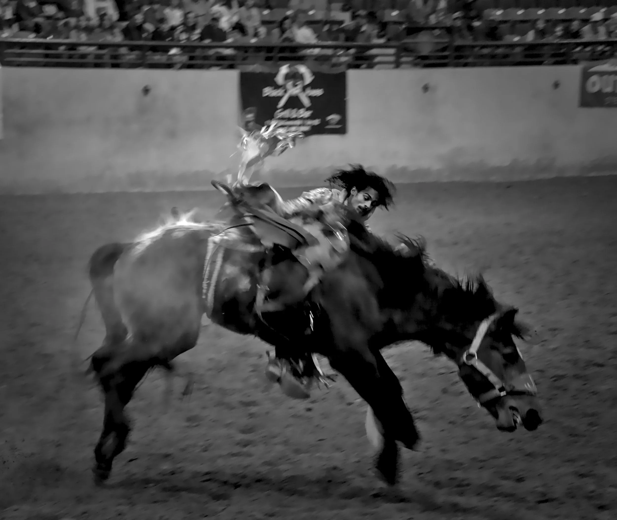 DSC02539 - Copy.jpg