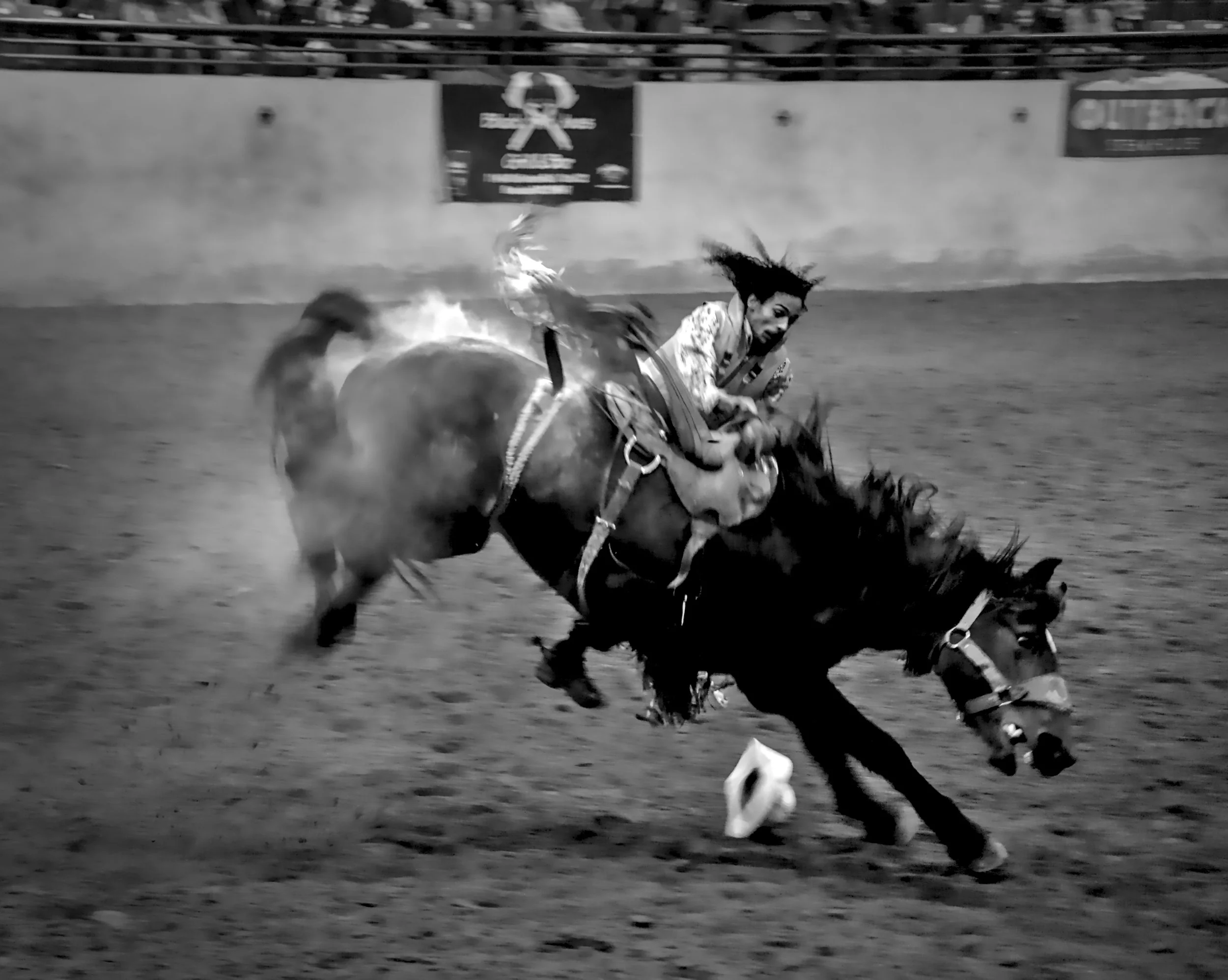DSC02540 - Copy.jpg