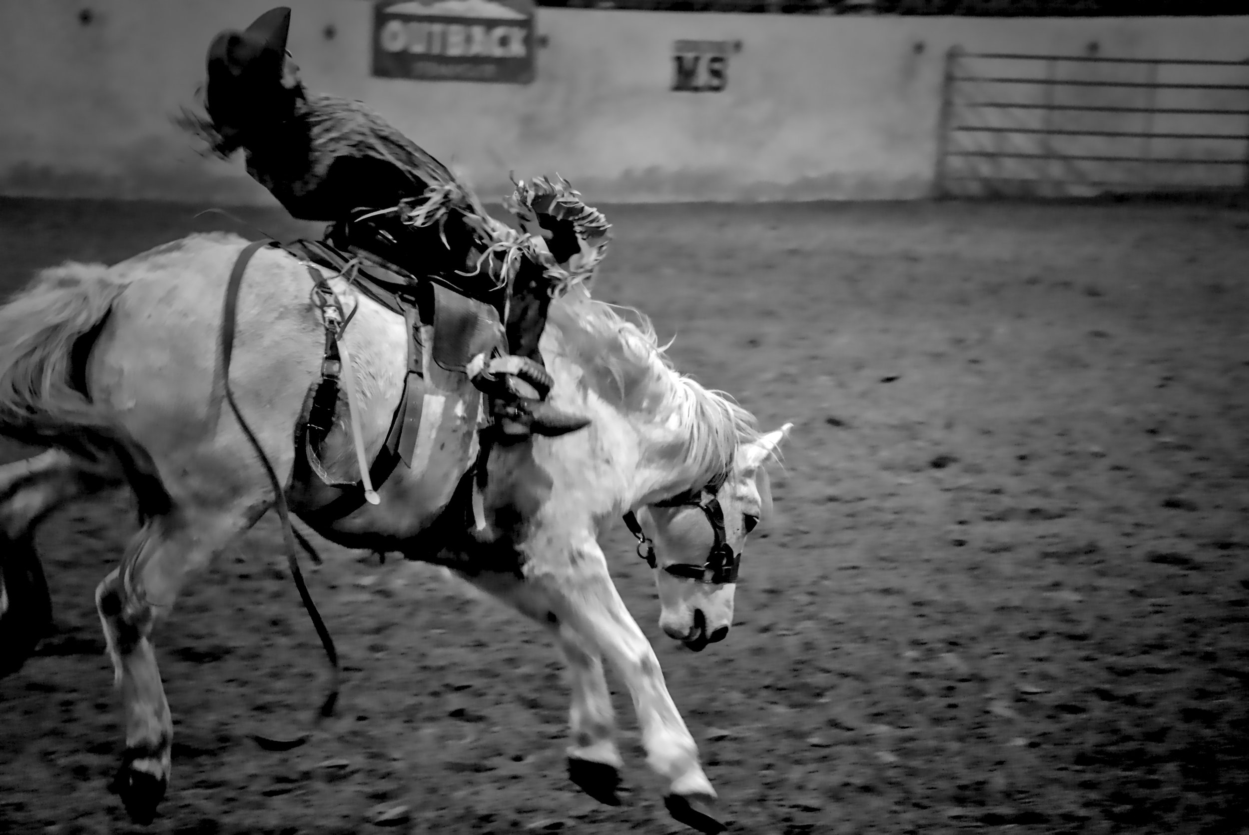 DSC02618 - Copy.jpg