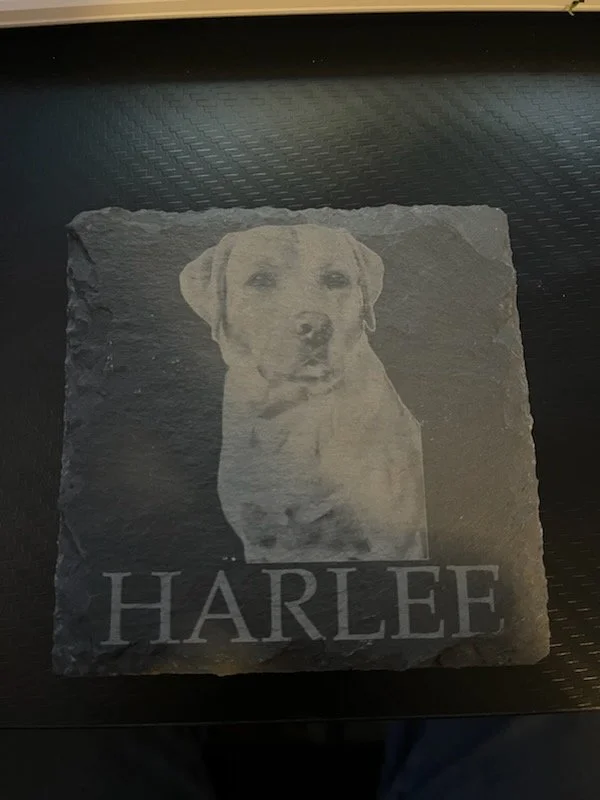 Dog Coaster 1.jpg