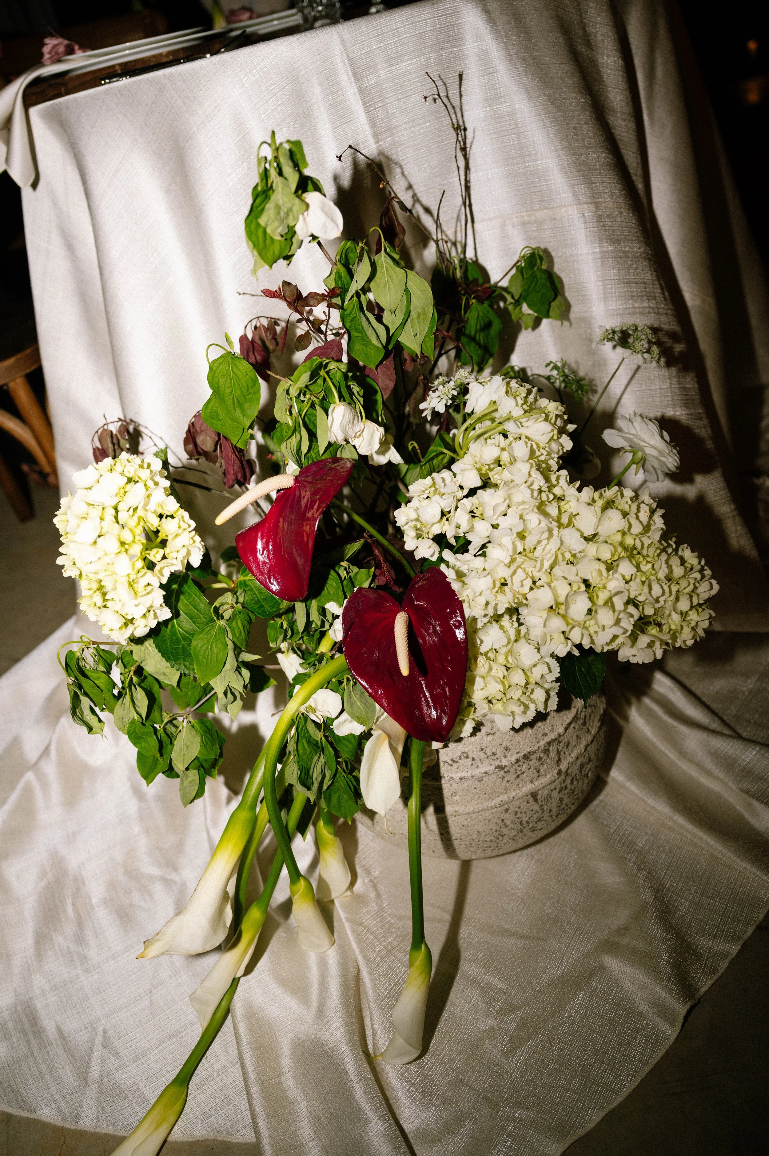 DSC_7916.jpg
