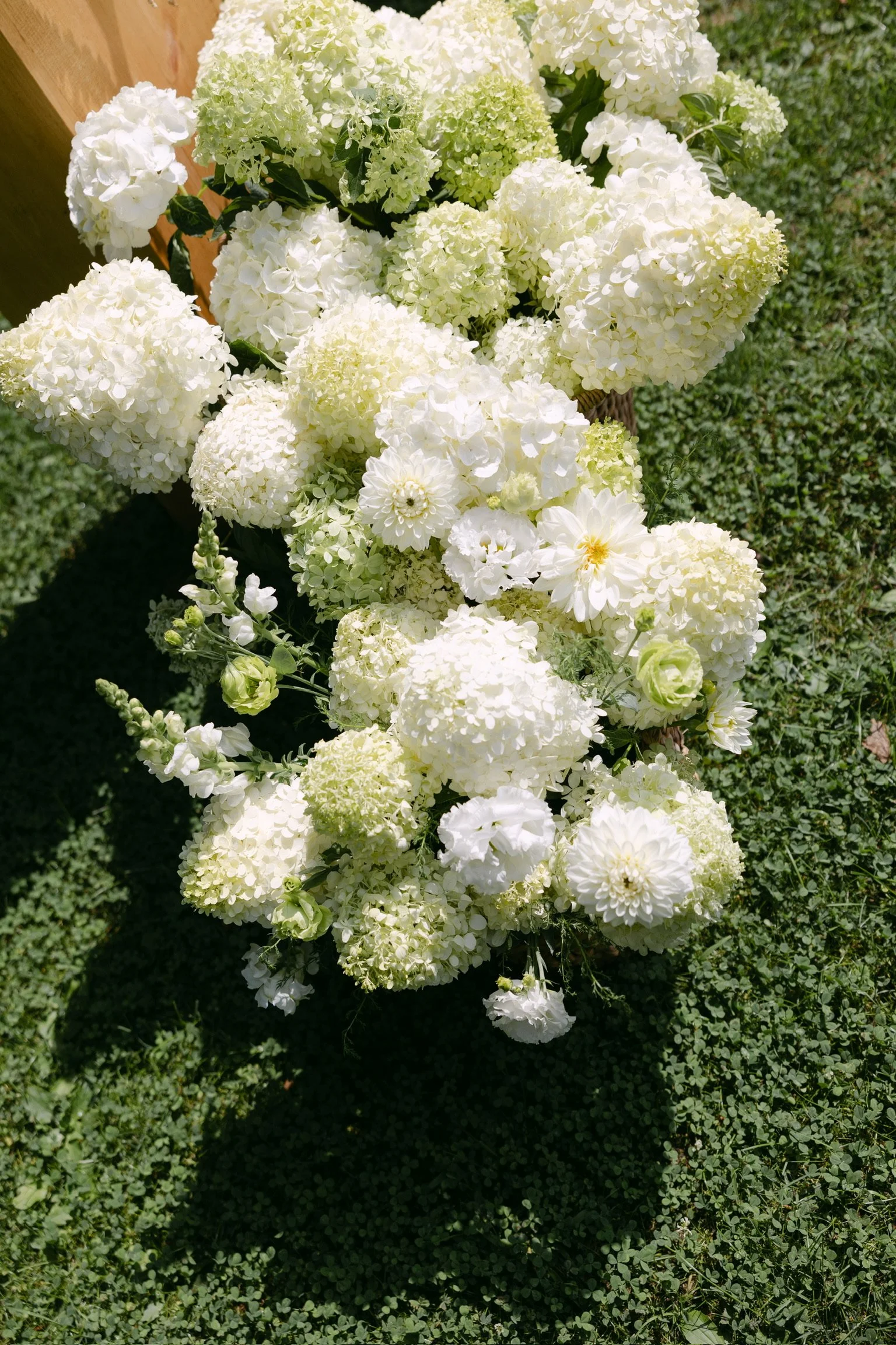 6D2245D5-78F6-439B-AE2E-D0AB2D6FE303.jpeg
