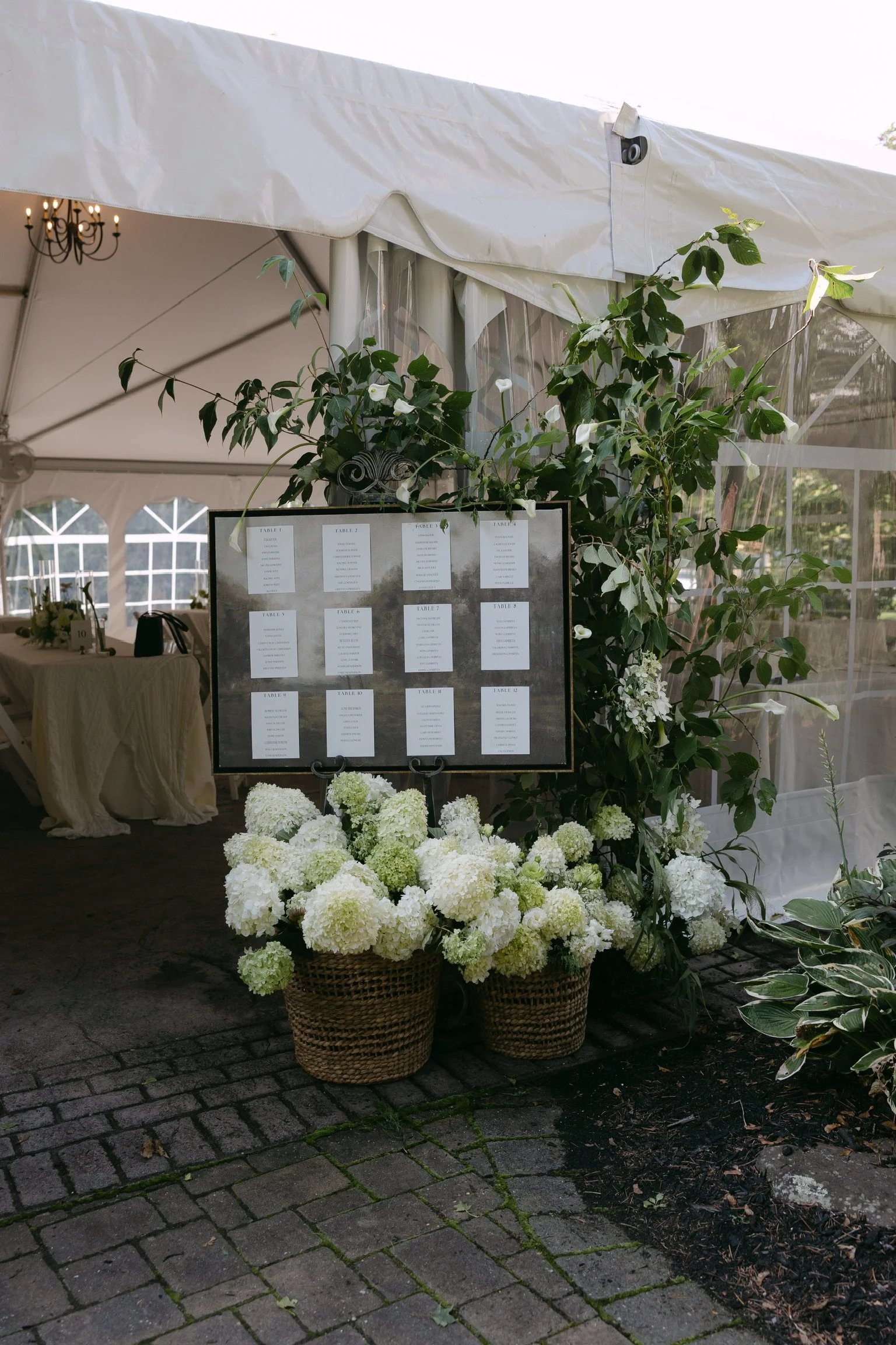 0C669F22-8703-46BD-982D-F25155C3B427.jpeg