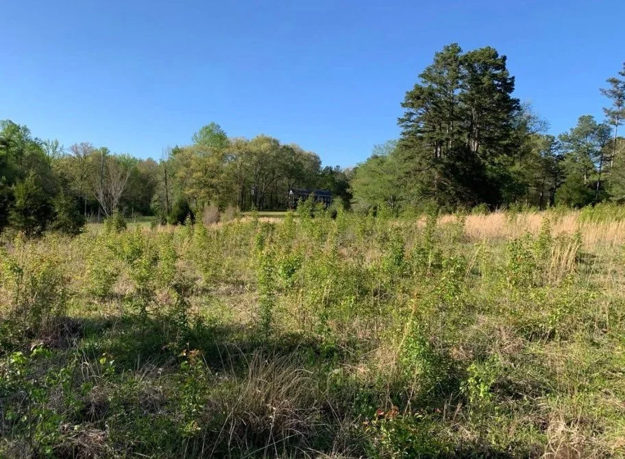 Overgrown fields, small lots, big lots. We can do it all. Bush hogging is big in the fall, let us help get ready for those hay rides!  Call or text today!! 731-614-7900