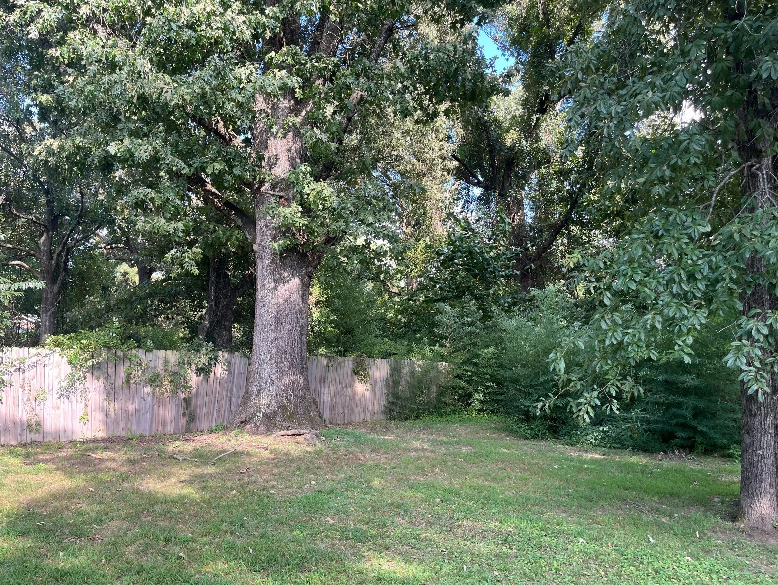 Need your place cleaned up for the upcoming holidays? We specialize in anything lawn maintenance, tree/limb trimming or removal, leaf removal, gutter clean outs and all your landscaping needs.  Call or text today for an estimate! 731-614-7900