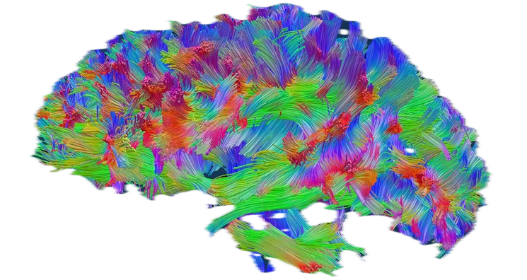 Brain tractography