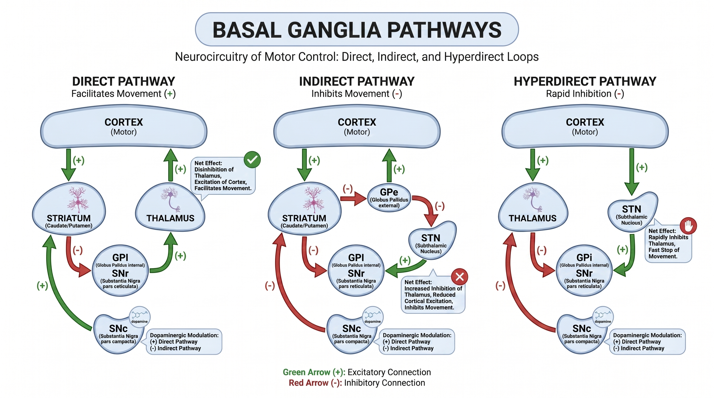 Schematic of direct, indirect, and hyperdirect basal ganglia pathways showing cortical, striatal, pallidal, subthalamic, thalamic, and nigral connections relevant to DBS network physiology.