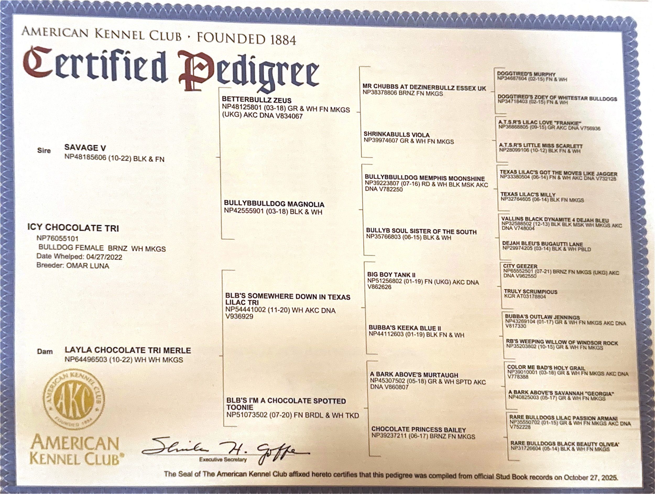 A certificate titled 'Certified Pedigree' from the American Kennel Club, with dog pedigree information, signatures, and official seals.
