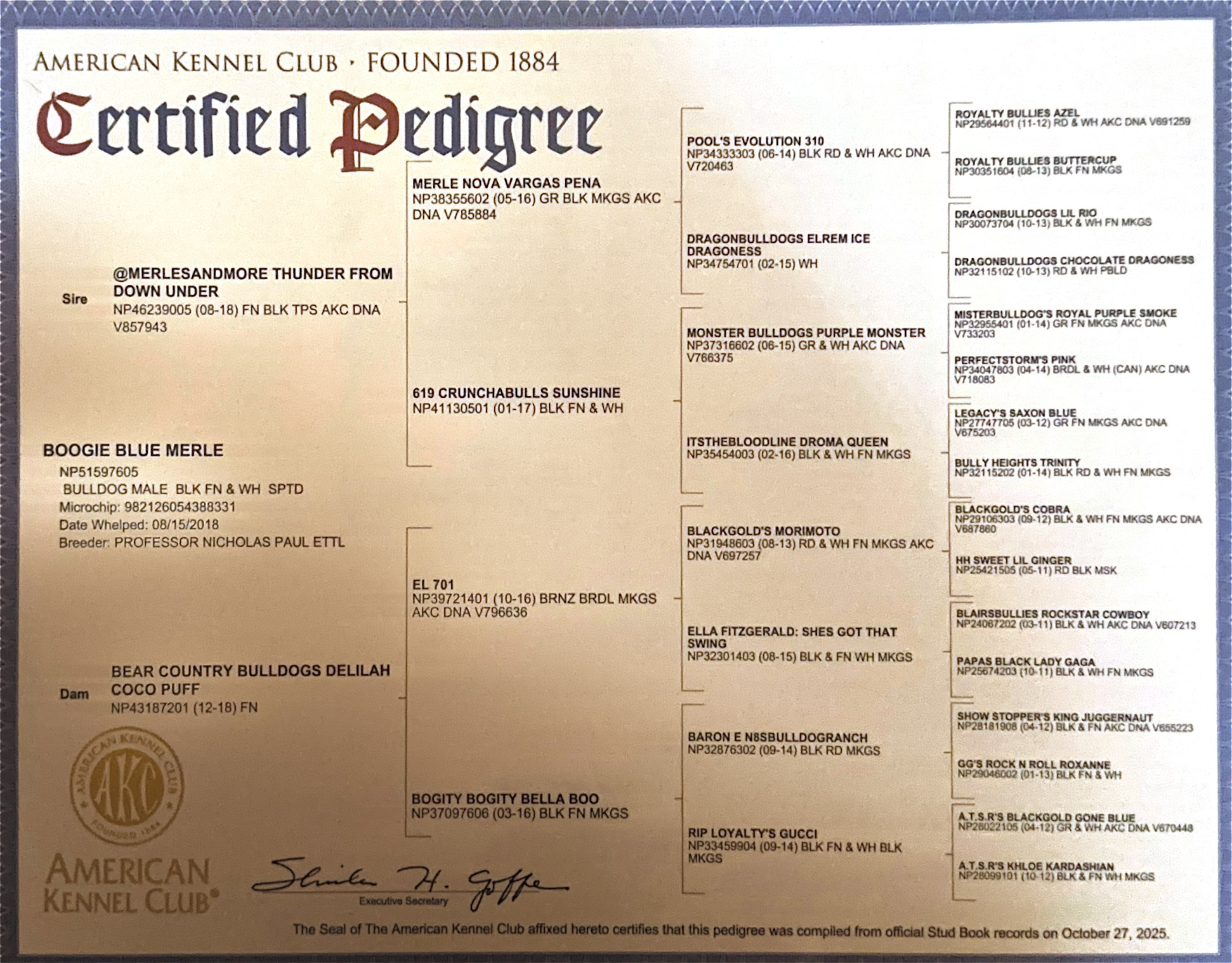 Pedigree certificate from the American Kennel Club for a Bulldog, showing details of the dog's lineage, registration number, breeder, and registration date.