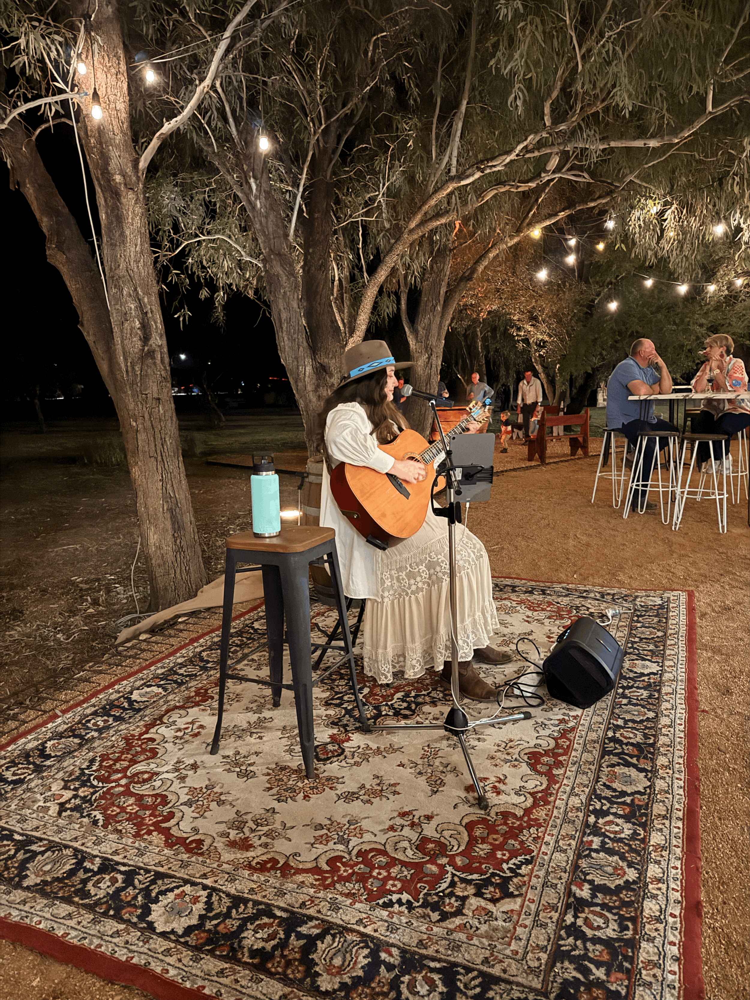 Live Venue Performances