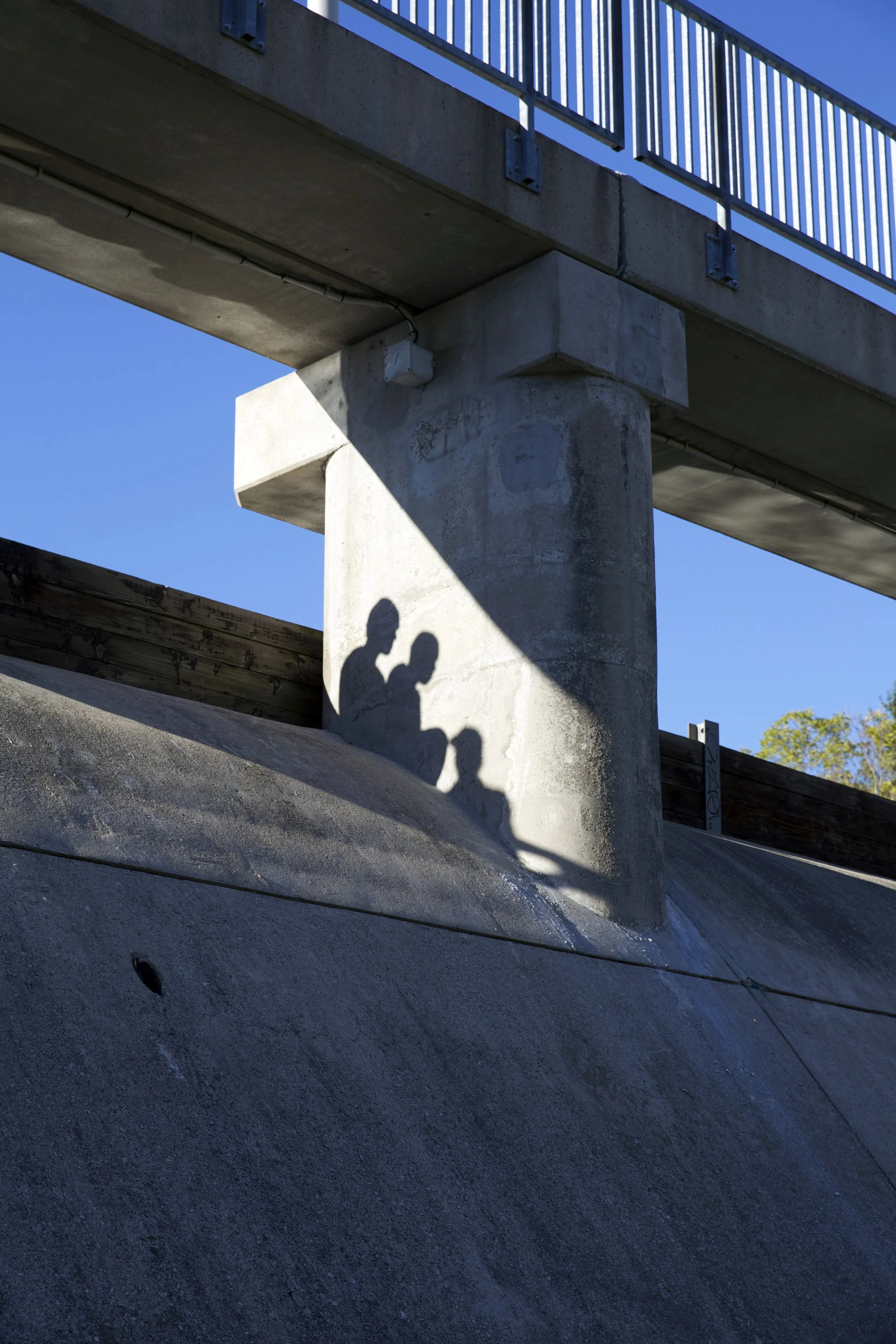 Pat_24x36_1 copy.jpg