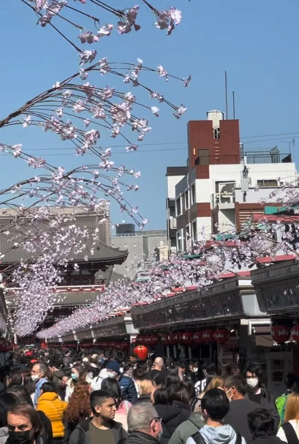 Nakamisedori - Sensoji, Asakusa