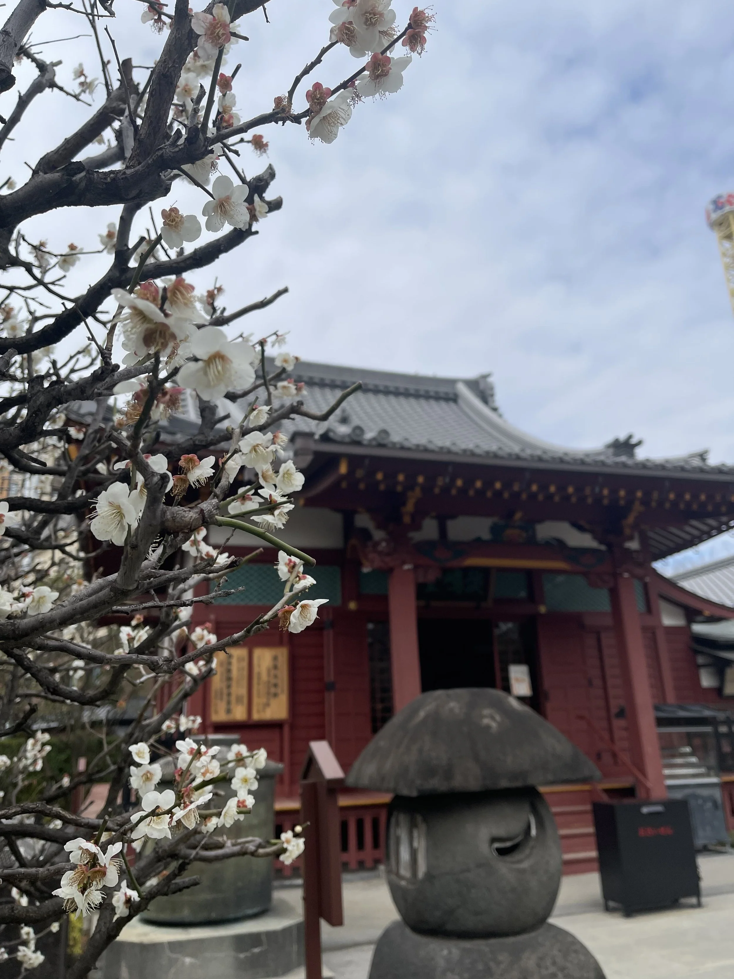 Sensoji  surroundings