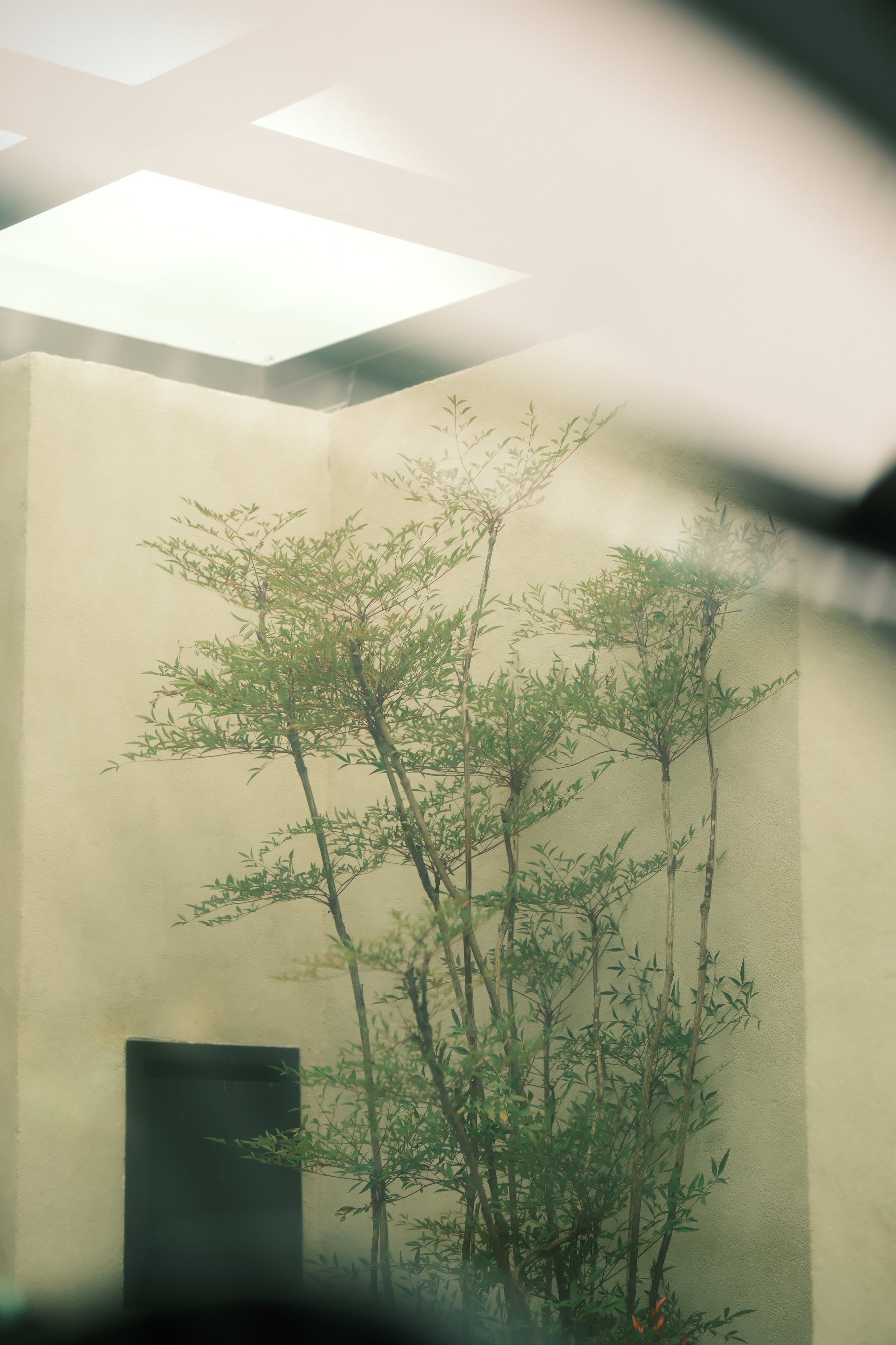 DSCF4069.JPG