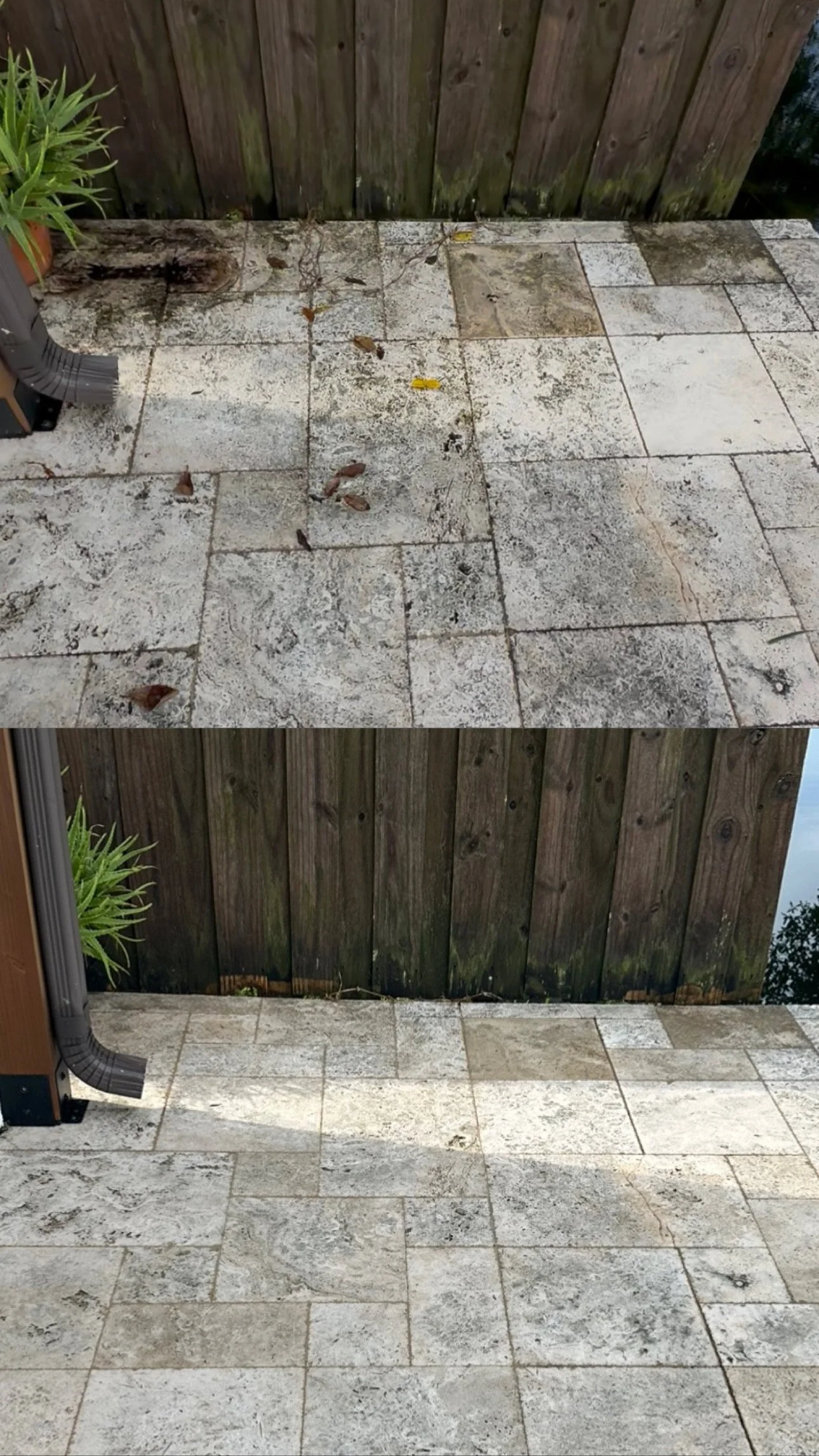 Patio Cleaning