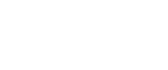 The Elf -  Psychedelic-assisted therapy