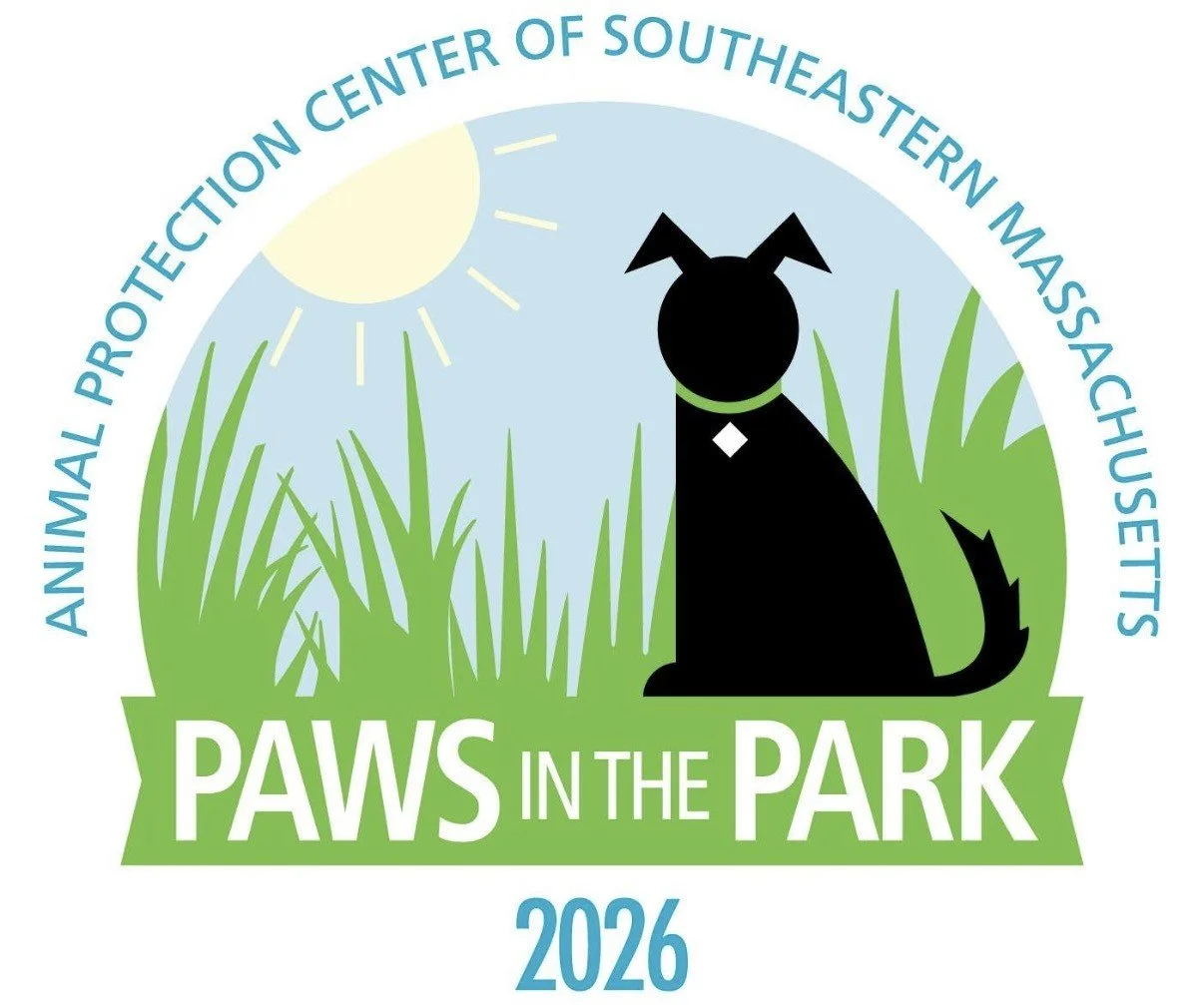 Paws In The Park