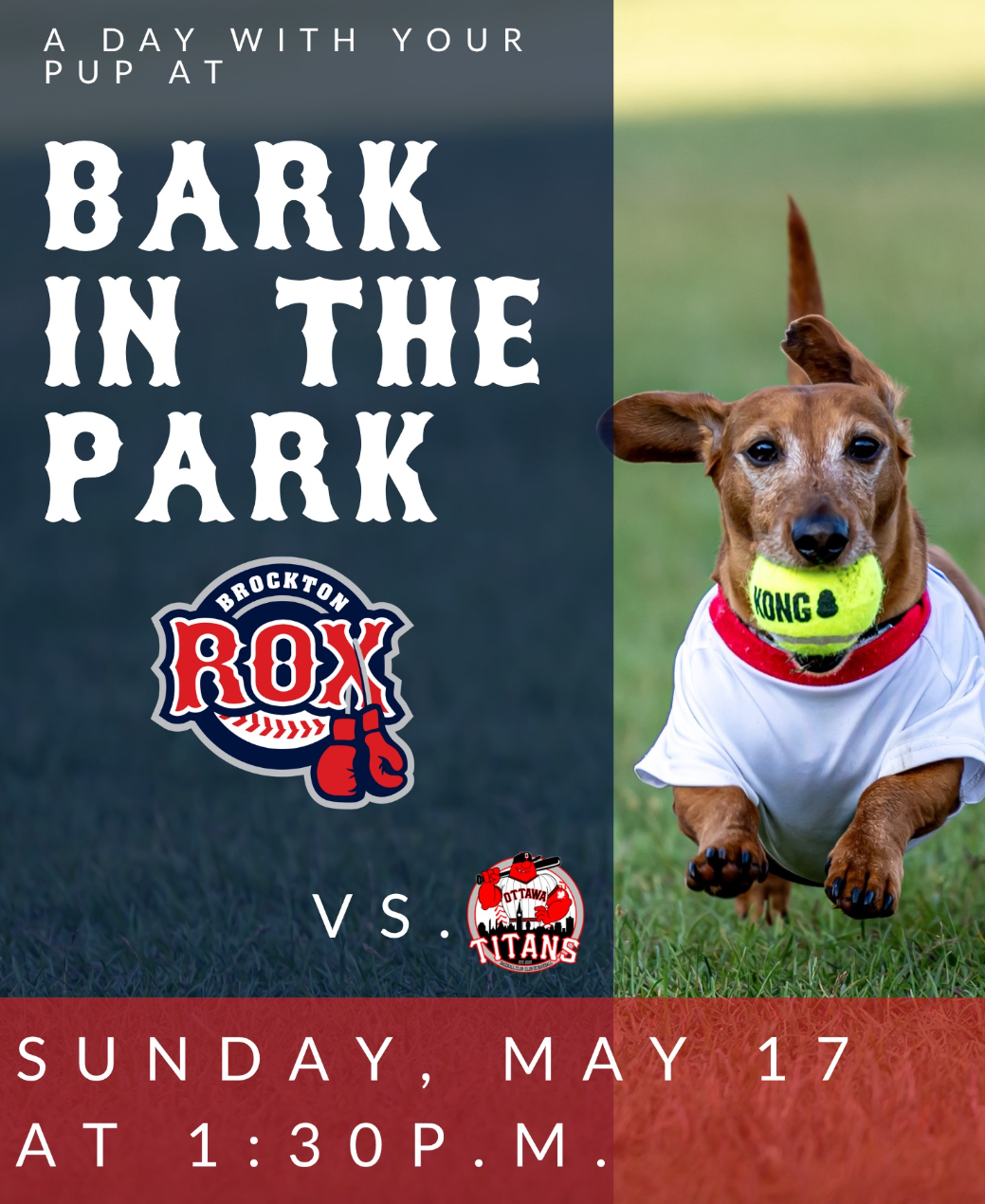 Bark in the Park