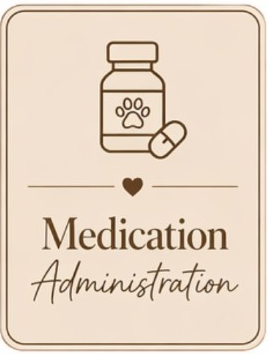 meds.png